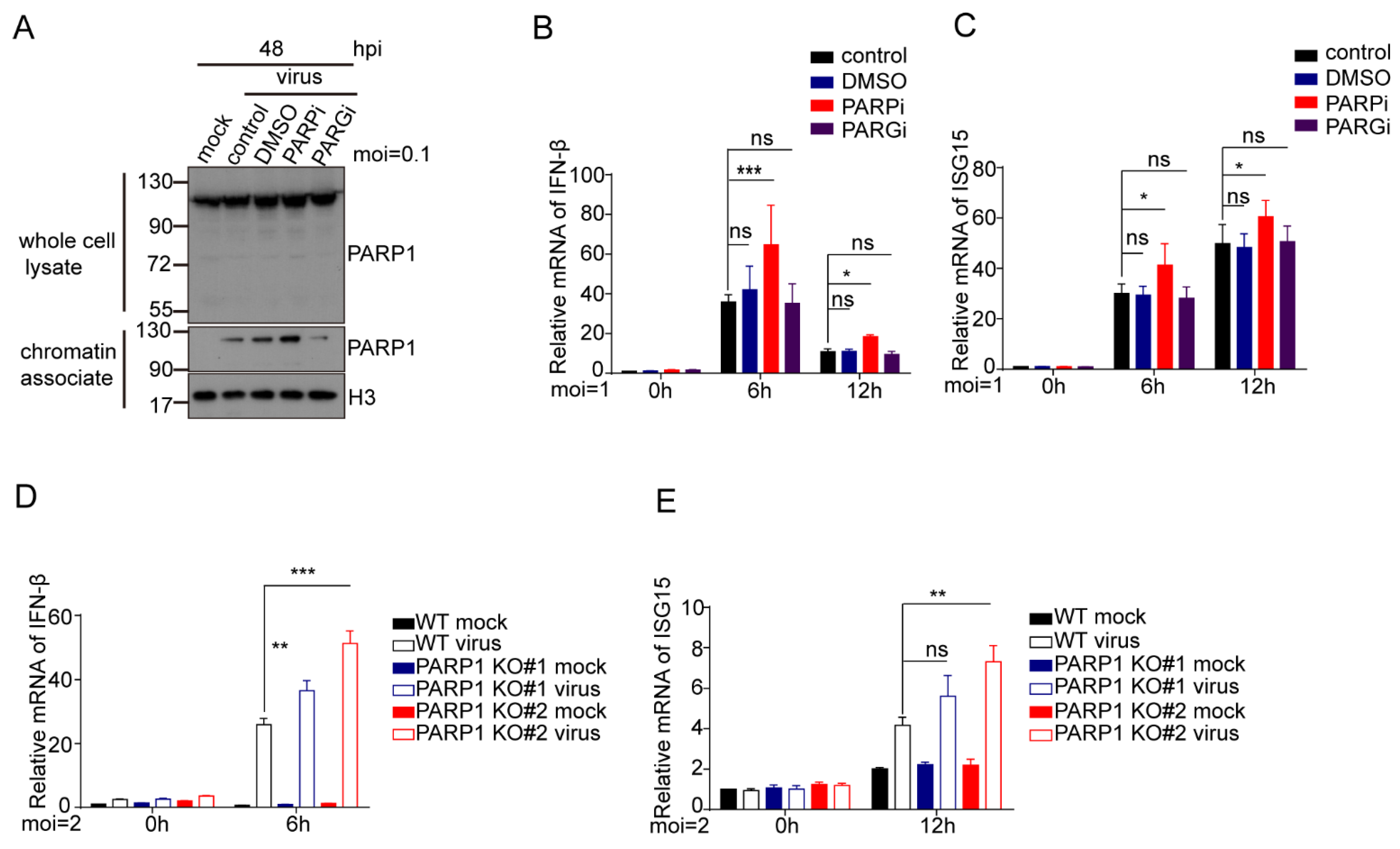 Viruses 14 02049 g008 Viruses 14 02049 g008