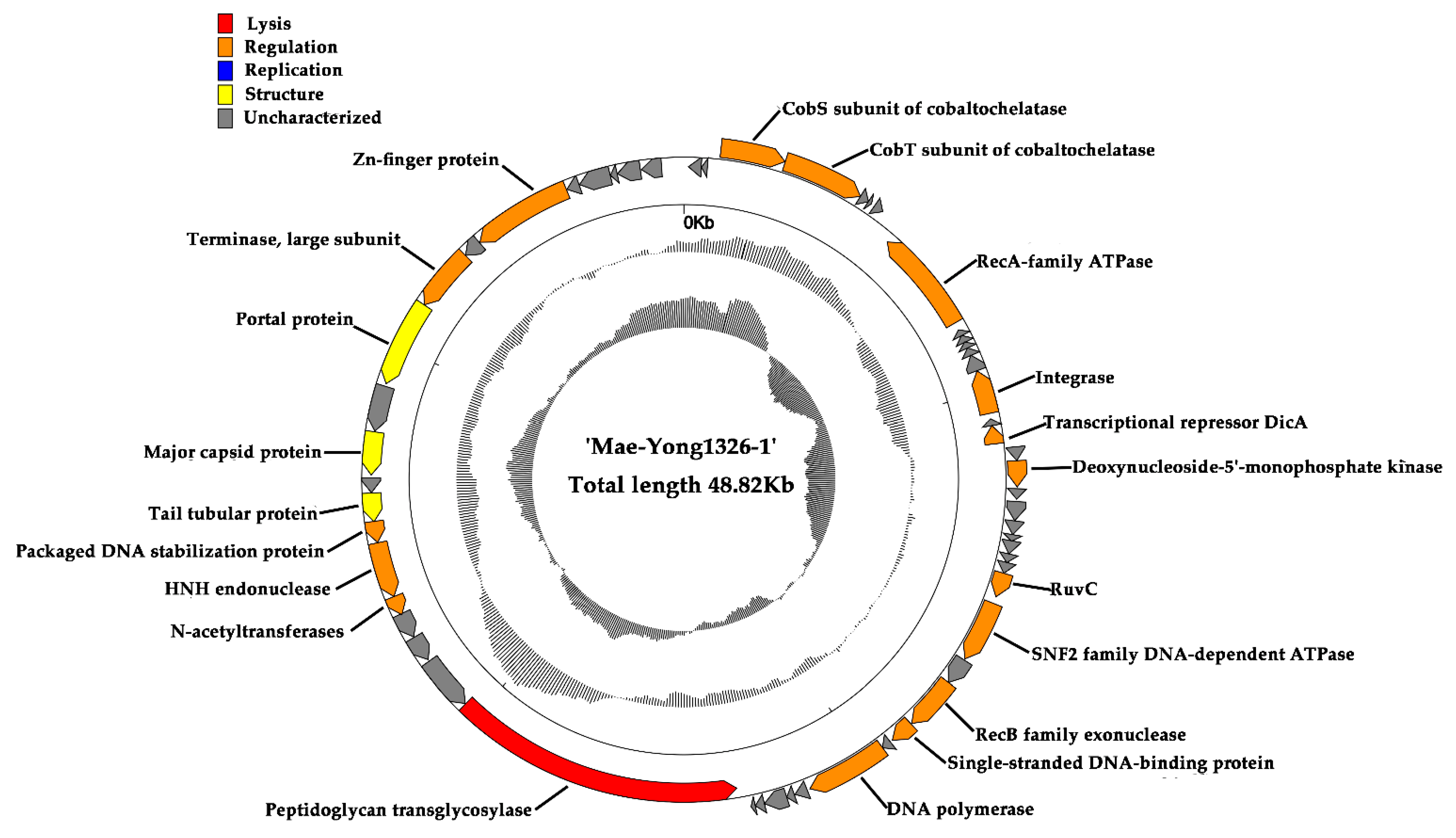 Viruses 14 02051 g004 550