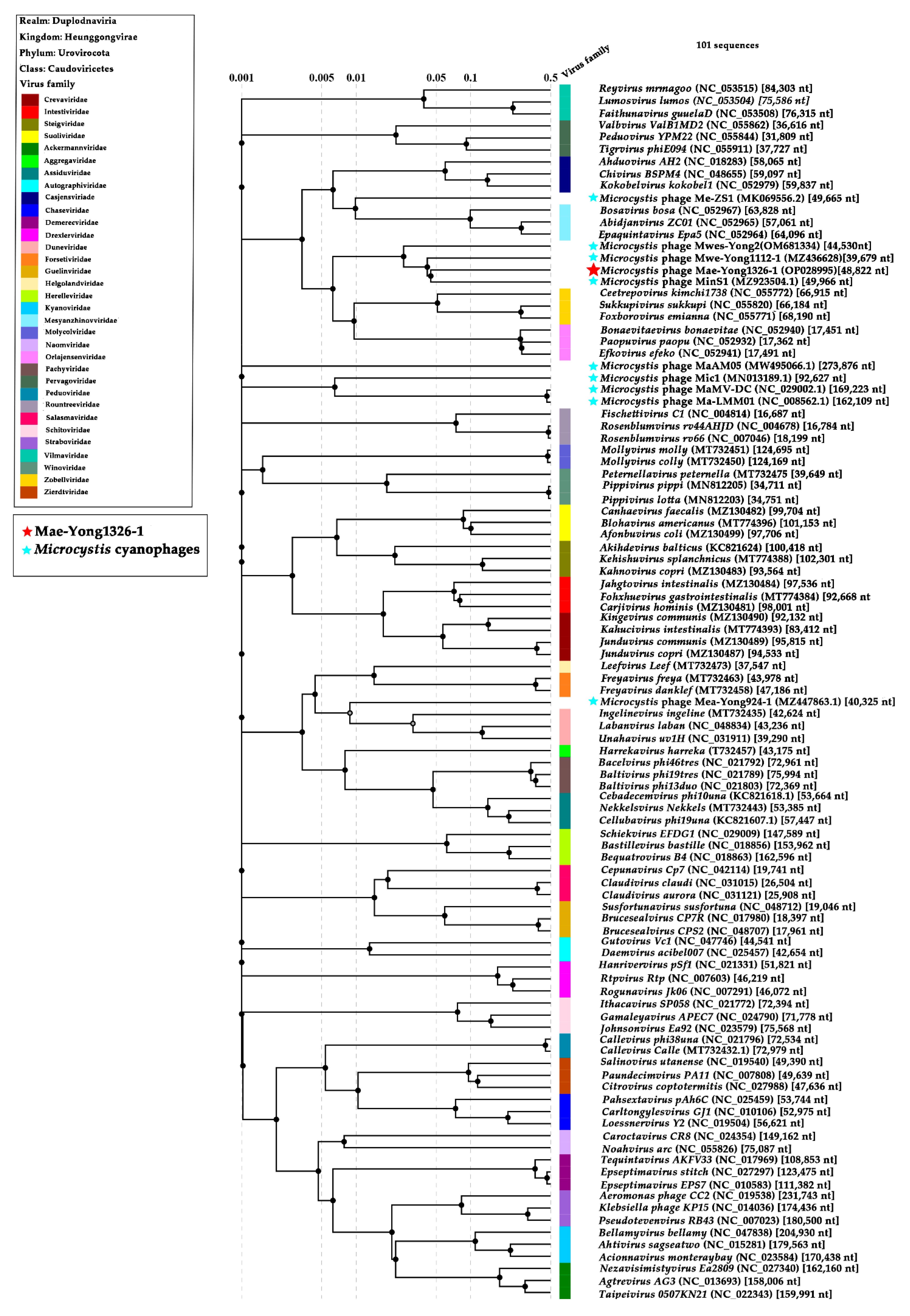Viruses 14 02051 g005 550