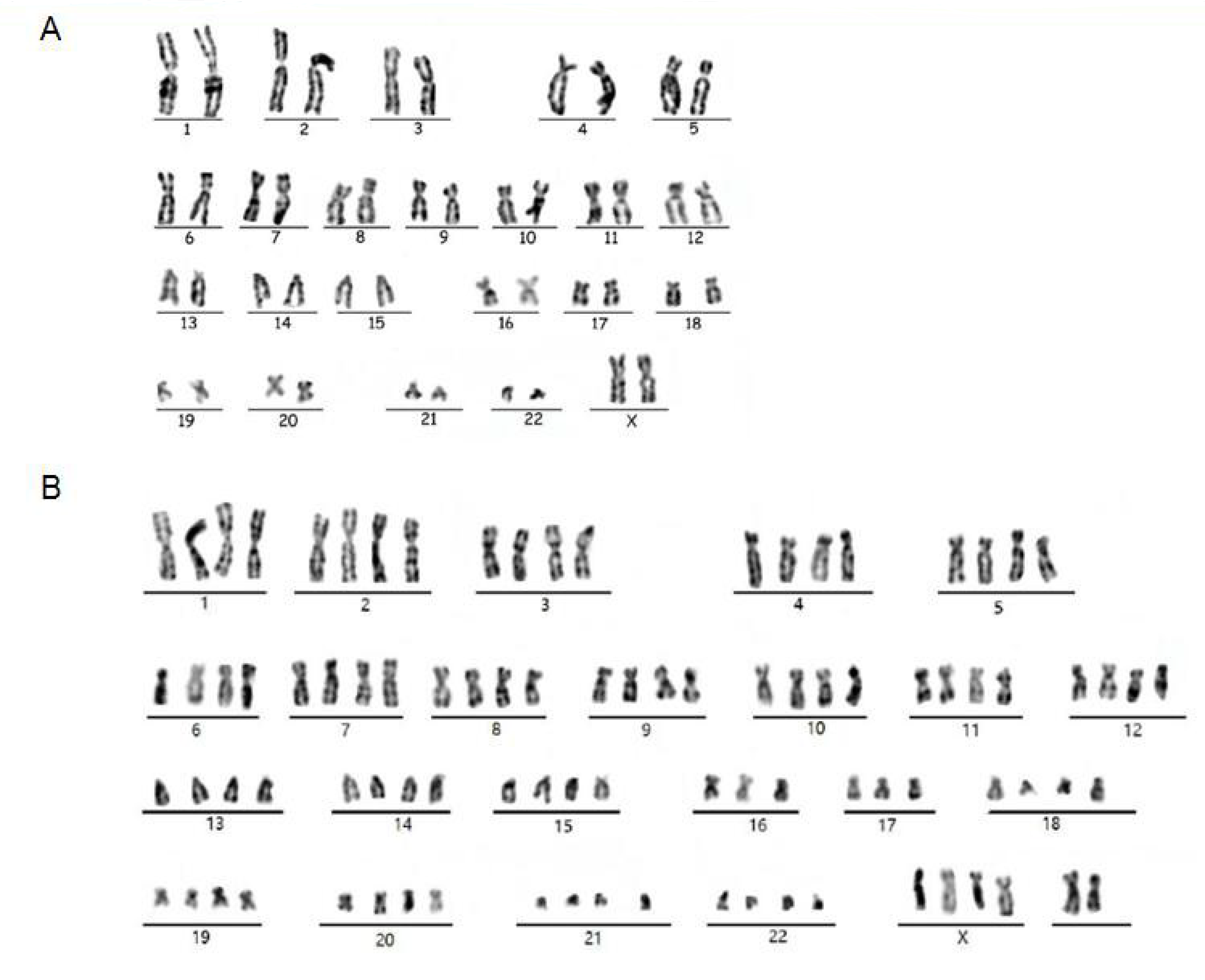 Viruses 14 02054 g004 Viruses 14 02054 g004