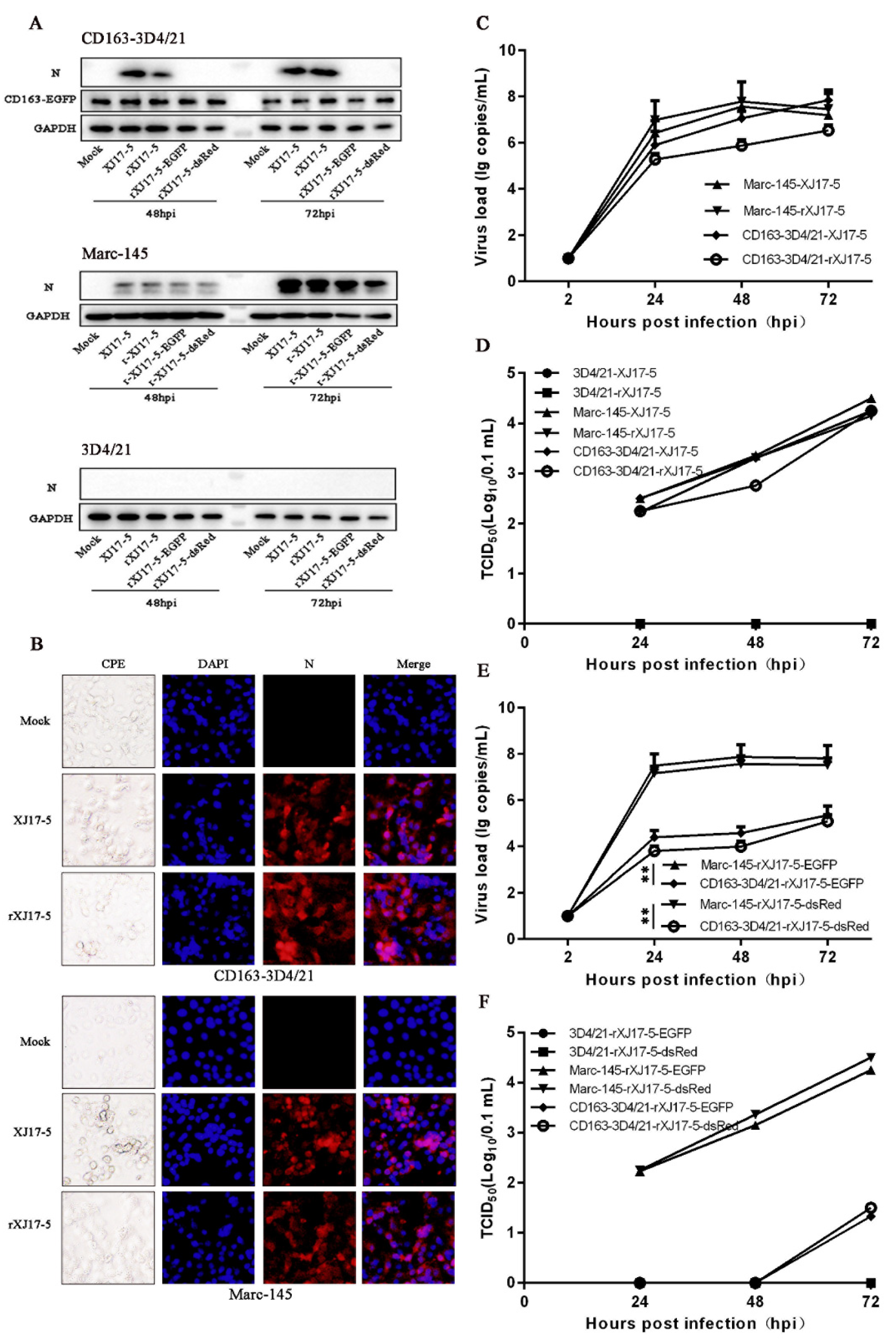 Viruses 14 02056 g001 Viruses 14 02056 g001