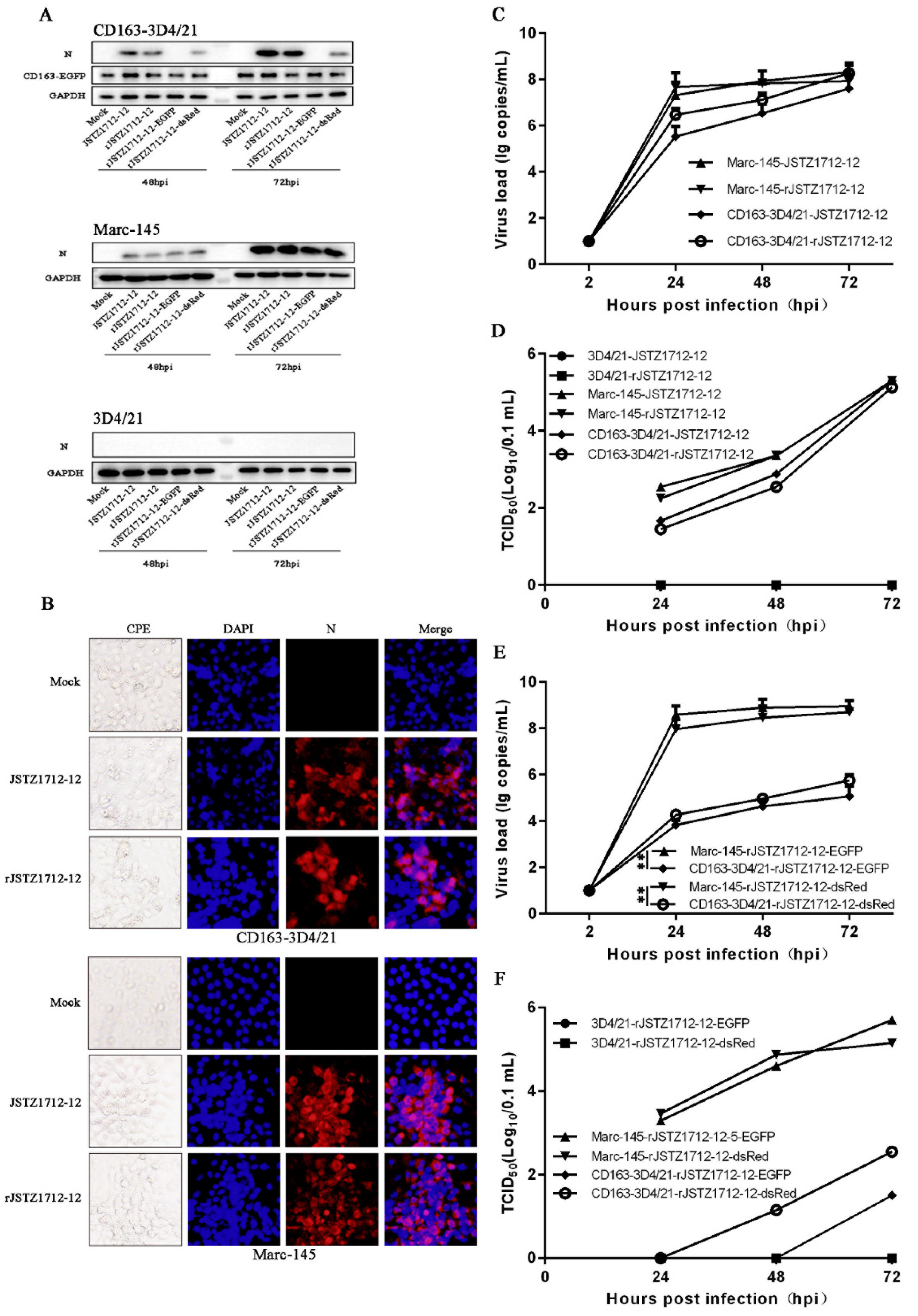 Viruses 14 02056 g002 Viruses 14 02056 g002