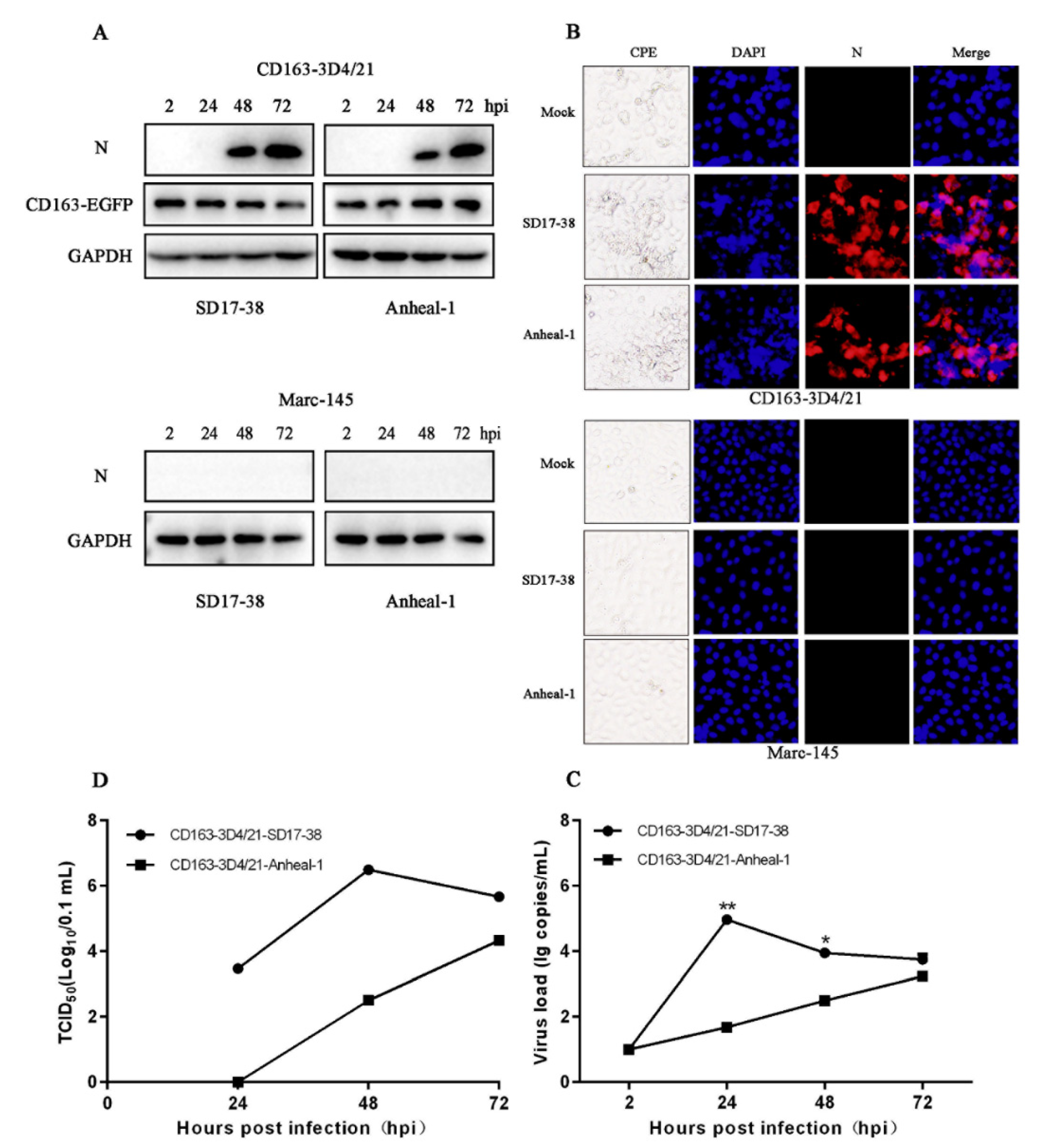 Viruses 14 02056 g005 Viruses 14 02056 g005