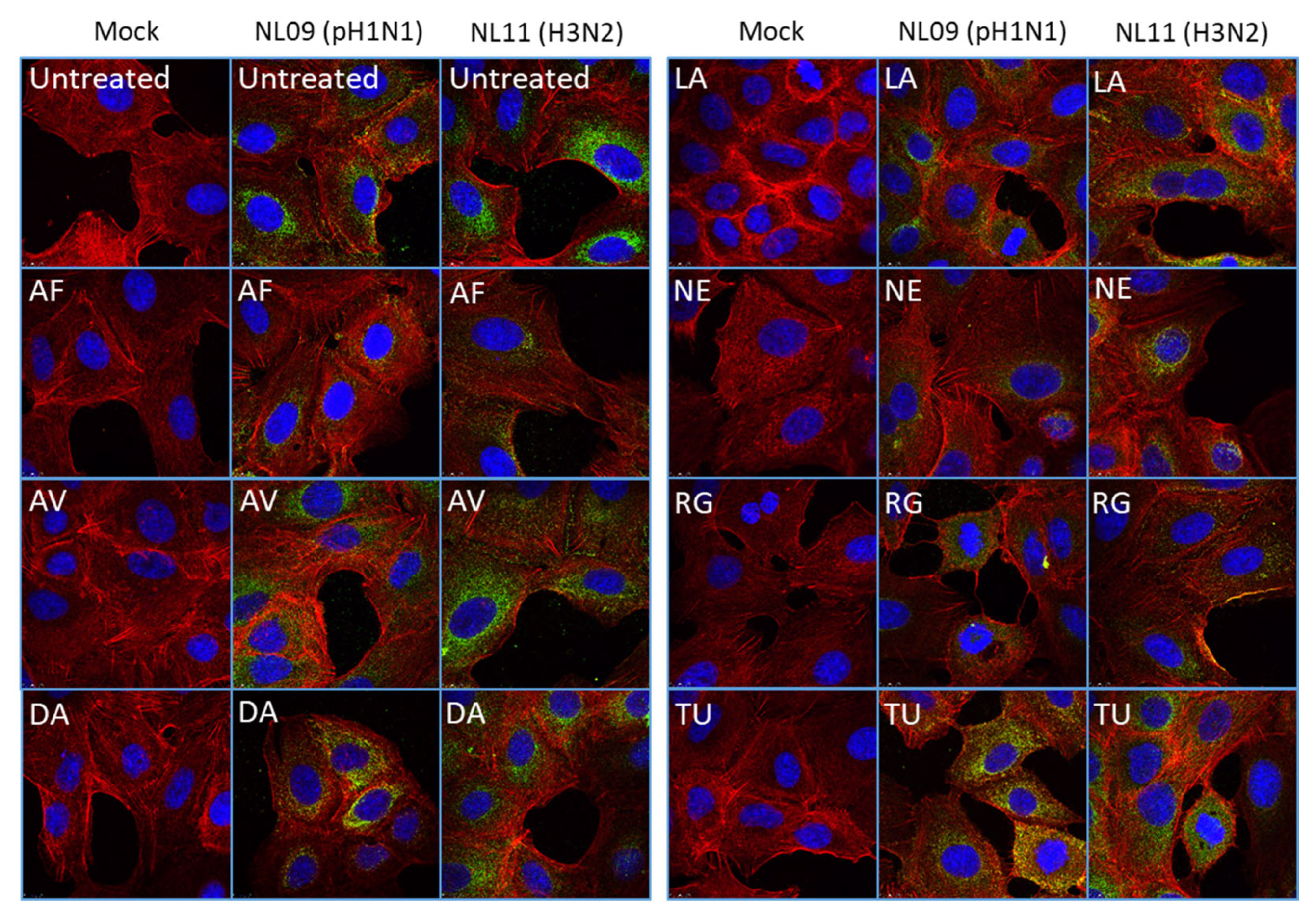 Viruses 14 02058 g003 Viruses 14 02058 g003
