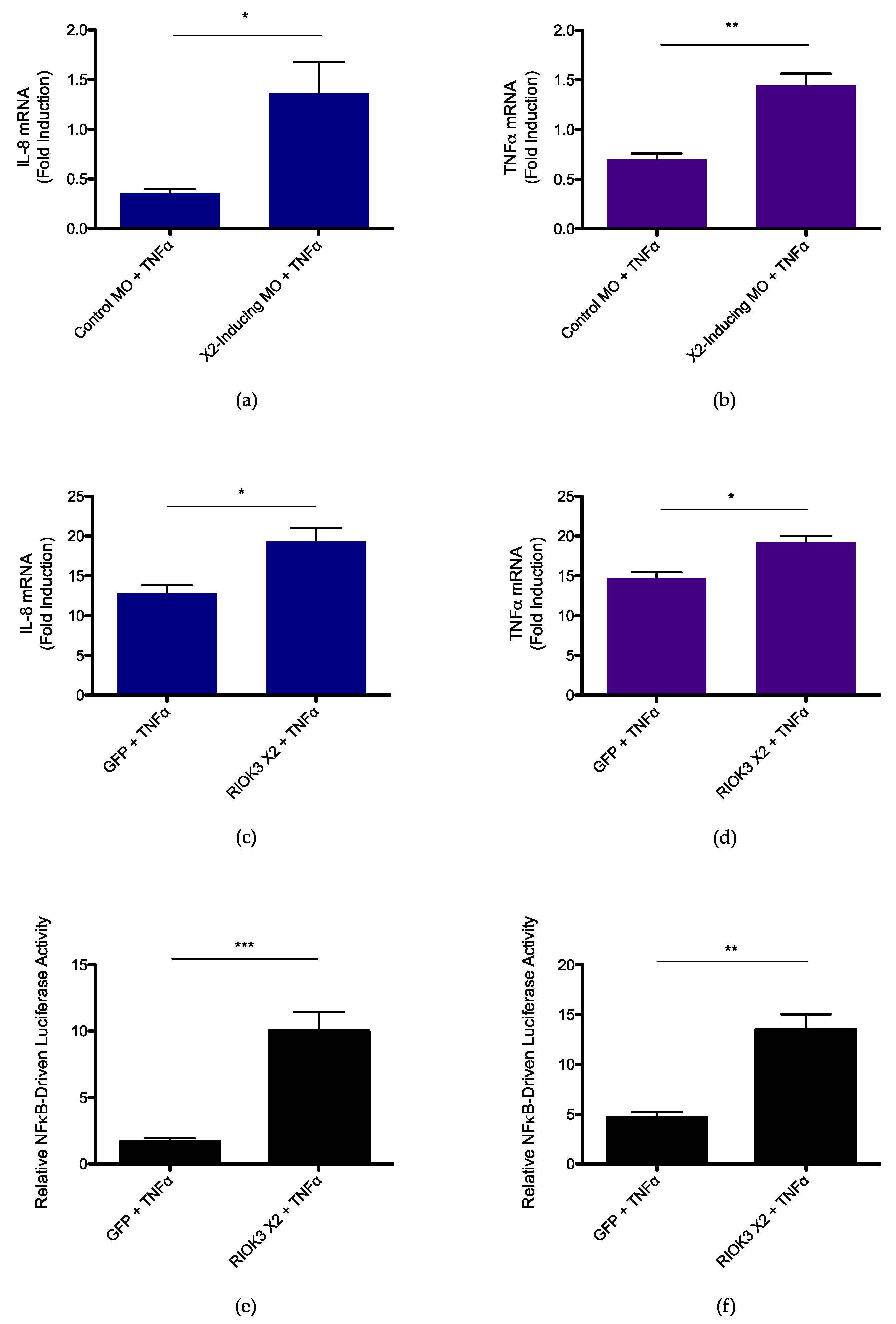 Viruses 14 02064 g005