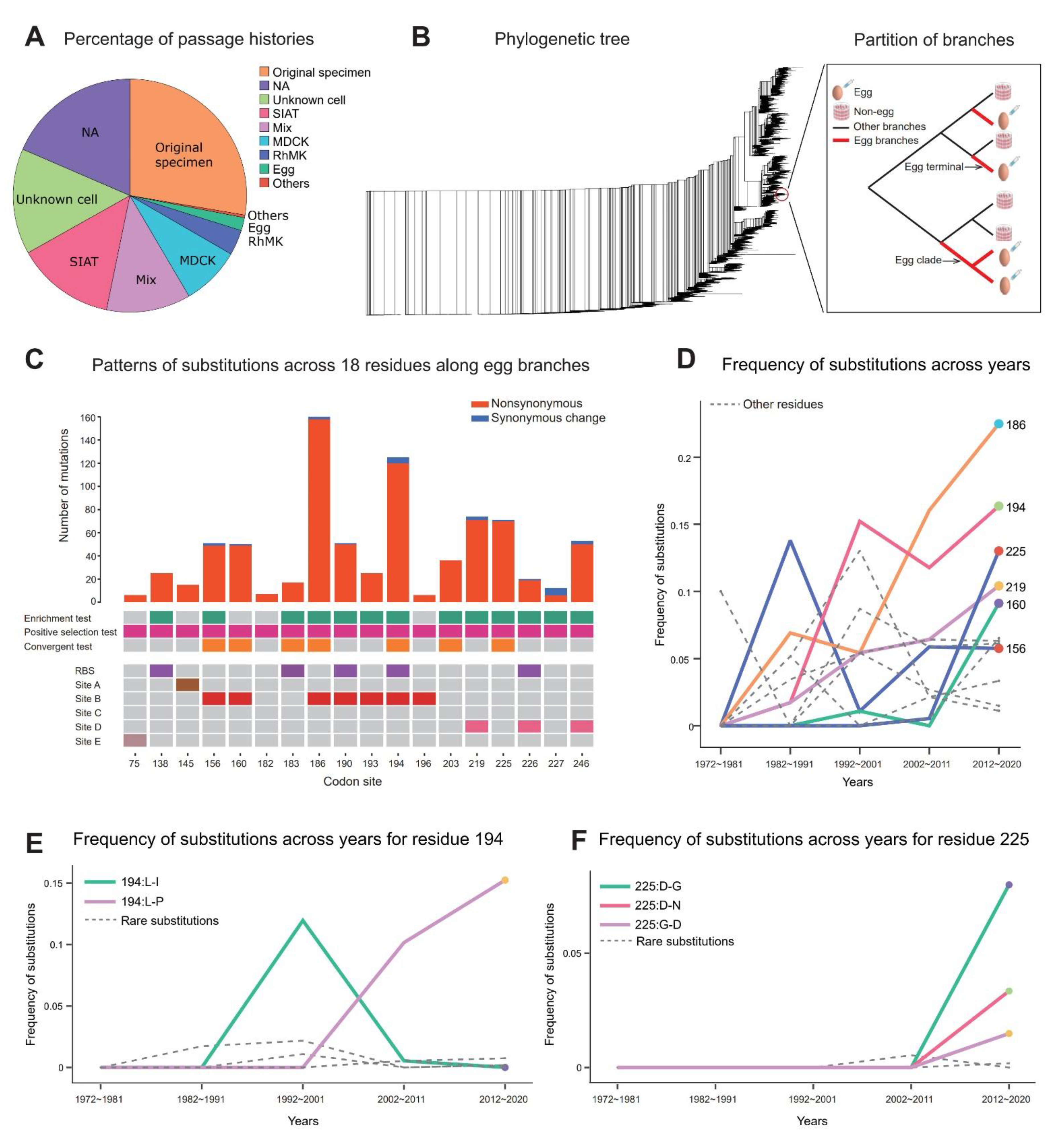 Viruses 14 02065 g001 Viruses 14 02065 g001