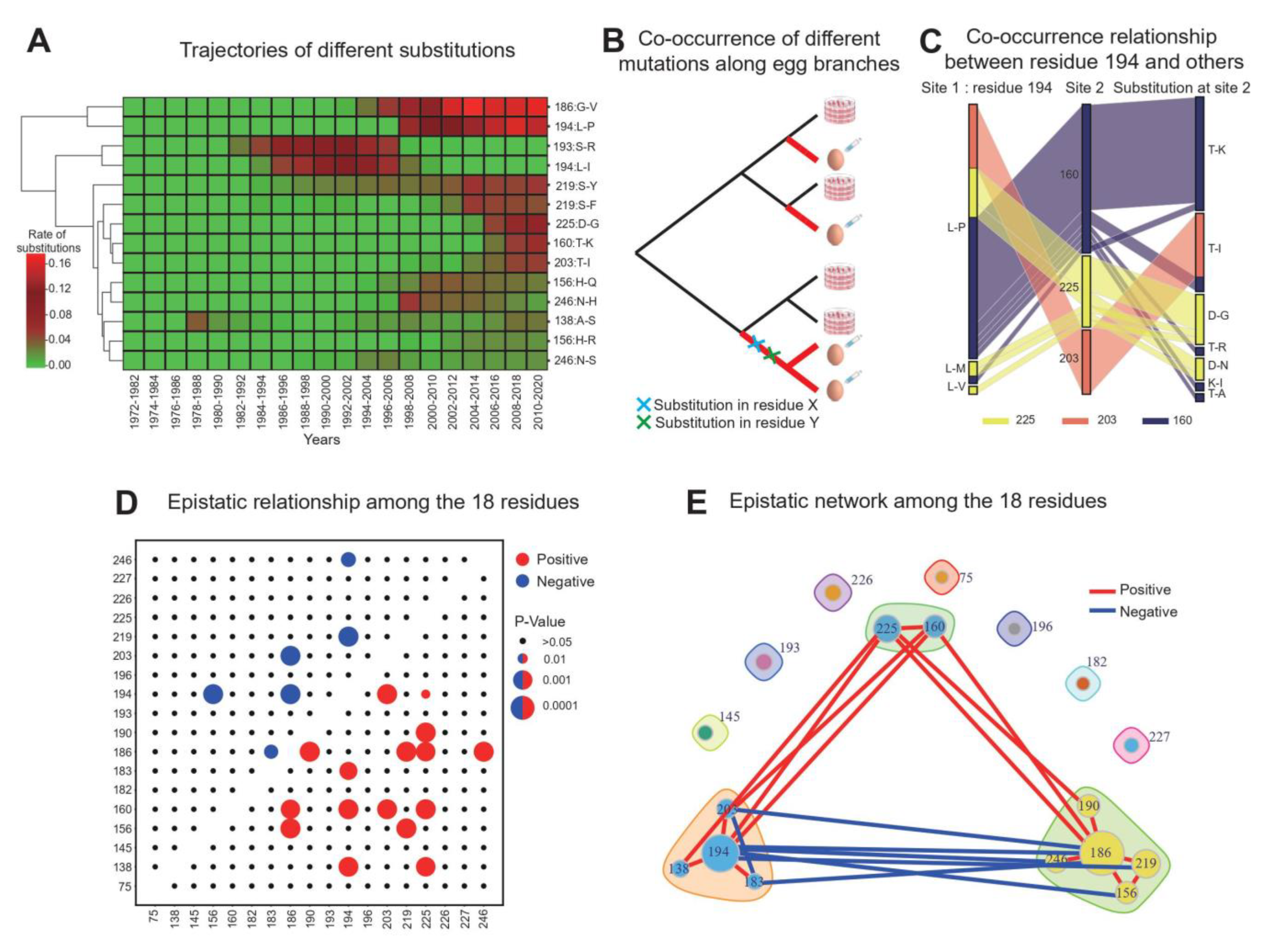 Viruses 14 02065 g002 Viruses 14 02065 g002