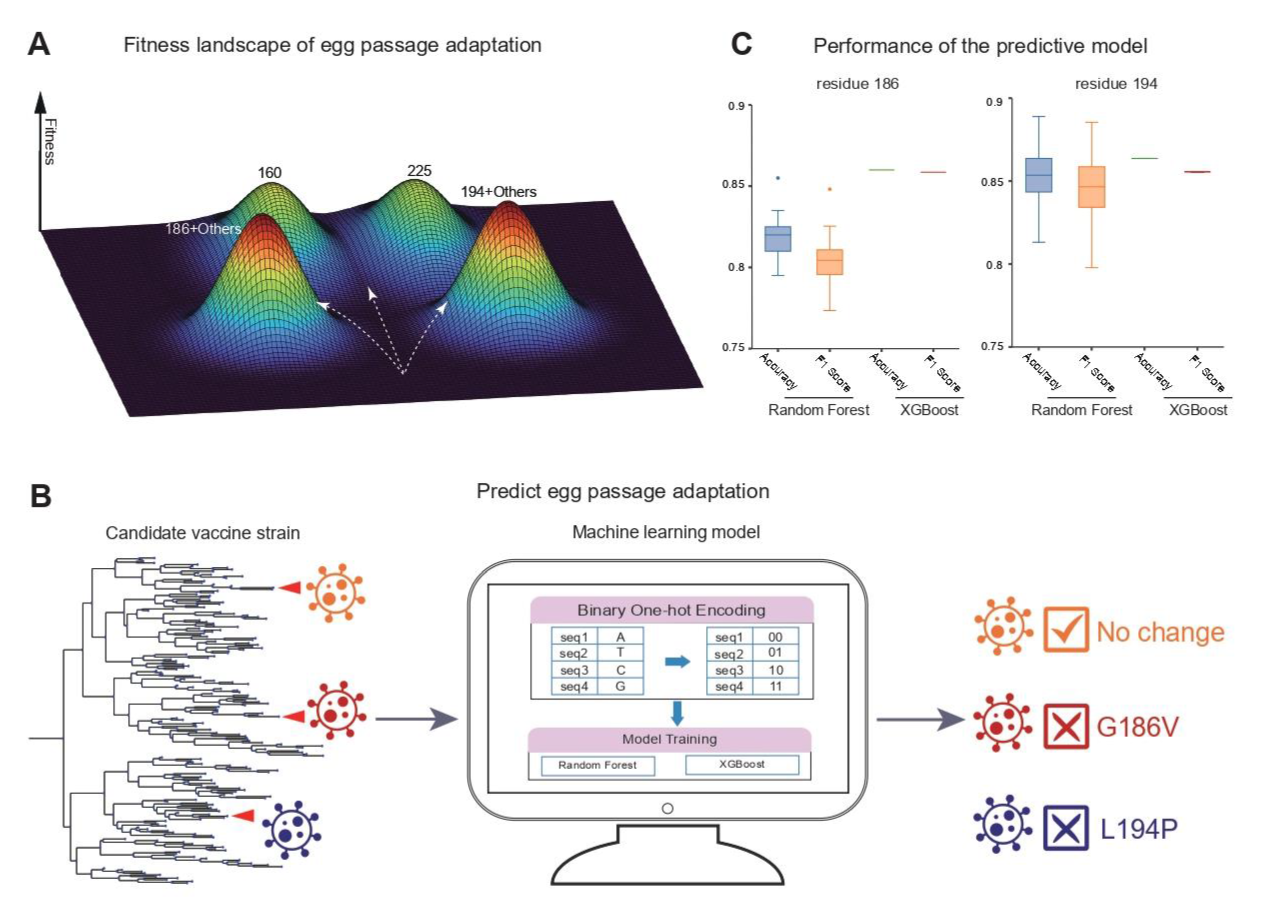 Viruses 14 02065 g003 Viruses 14 02065 g003