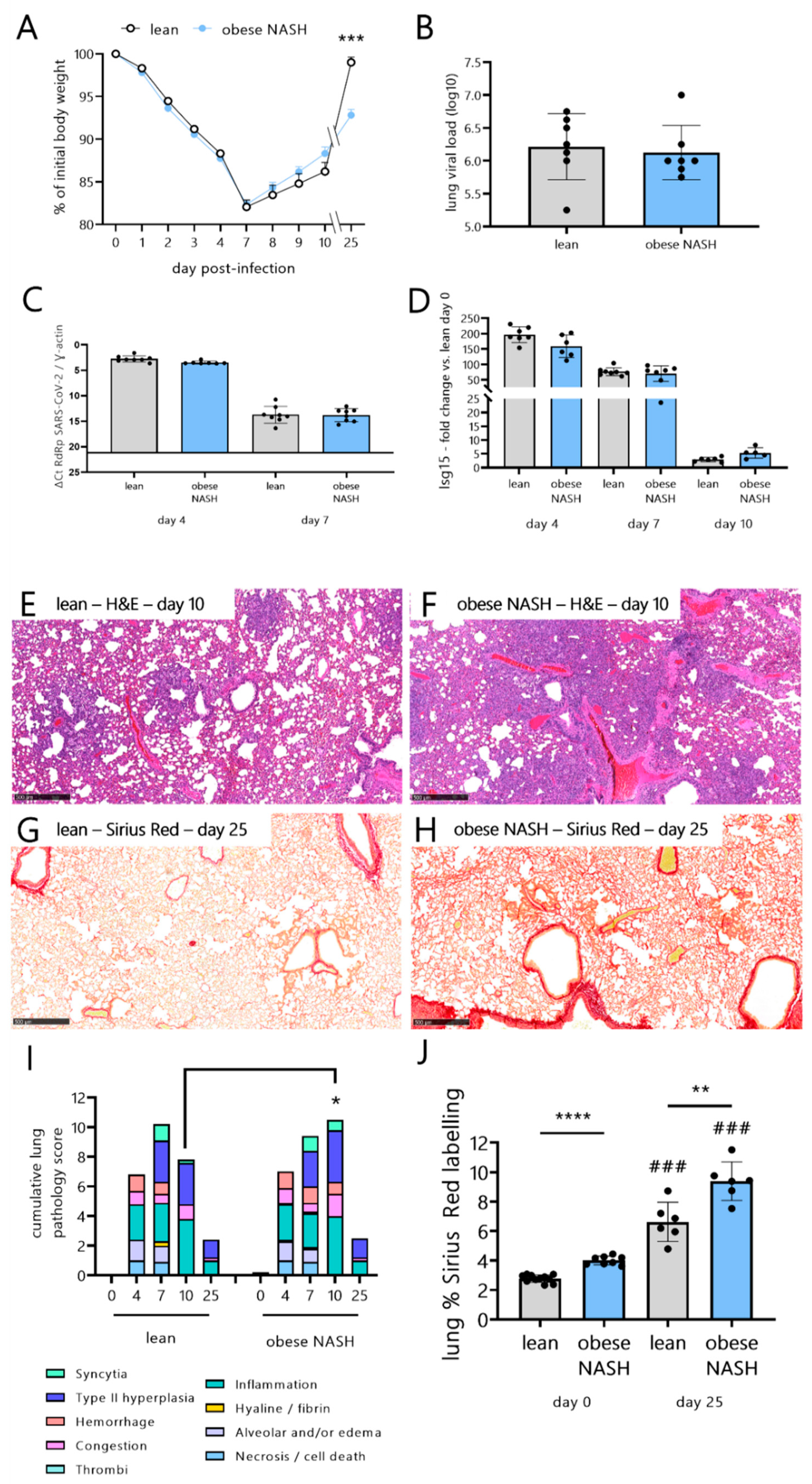 Viruses 14 02067 g002 Viruses 14 02067 g002