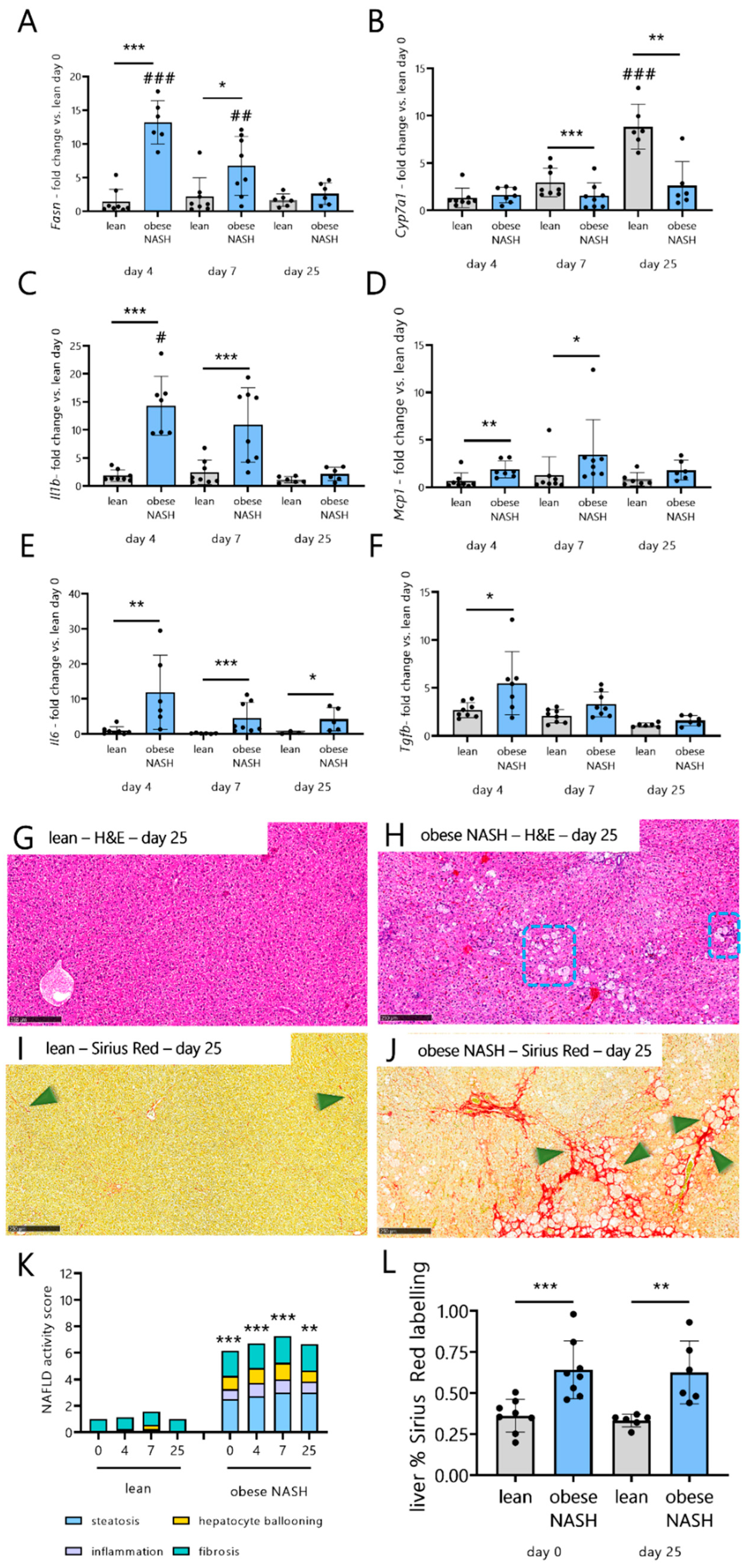 Viruses 14 02067 g005 Viruses 14 02067 g005