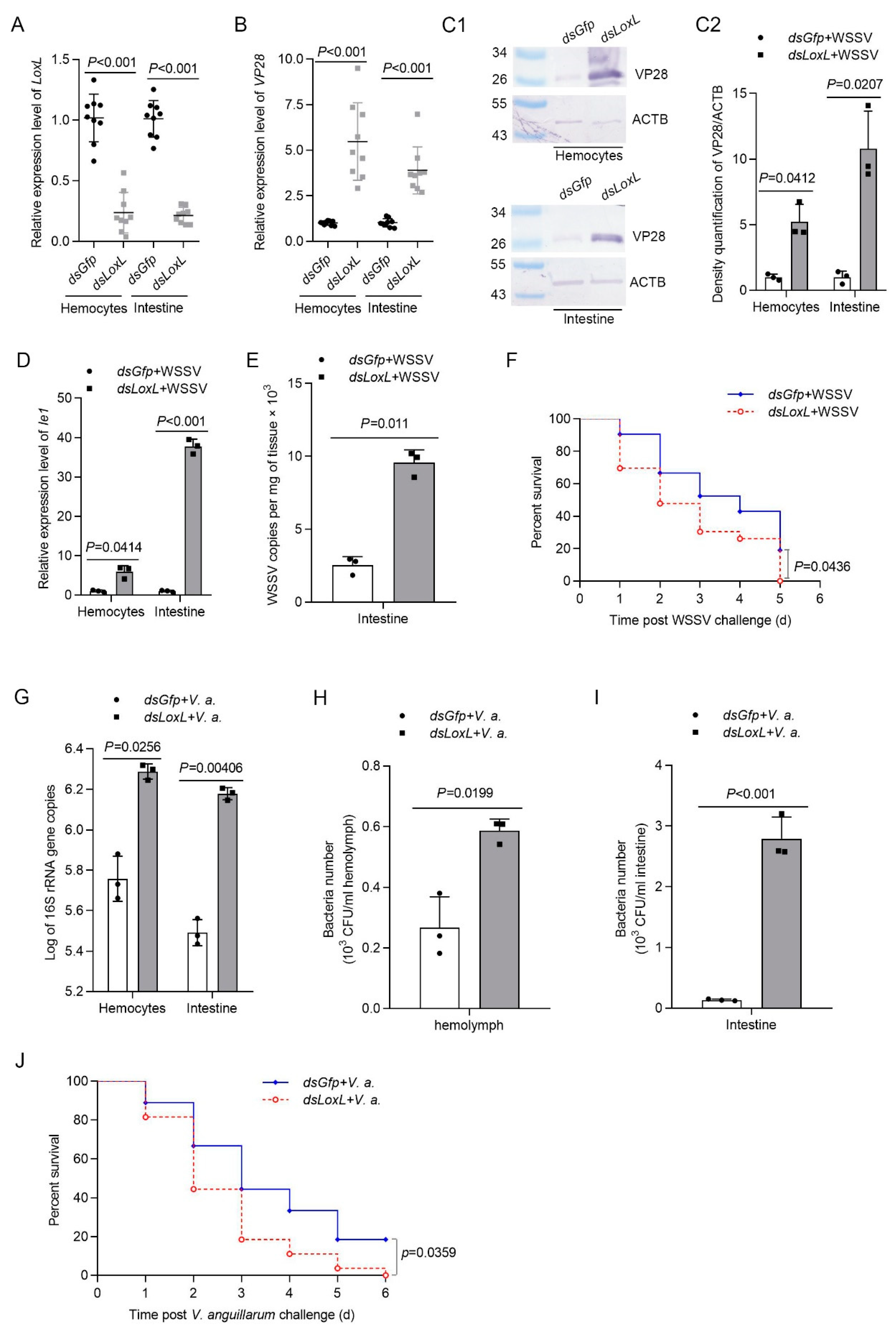Viruses 14 02072 g002 Viruses 14 02072 g002