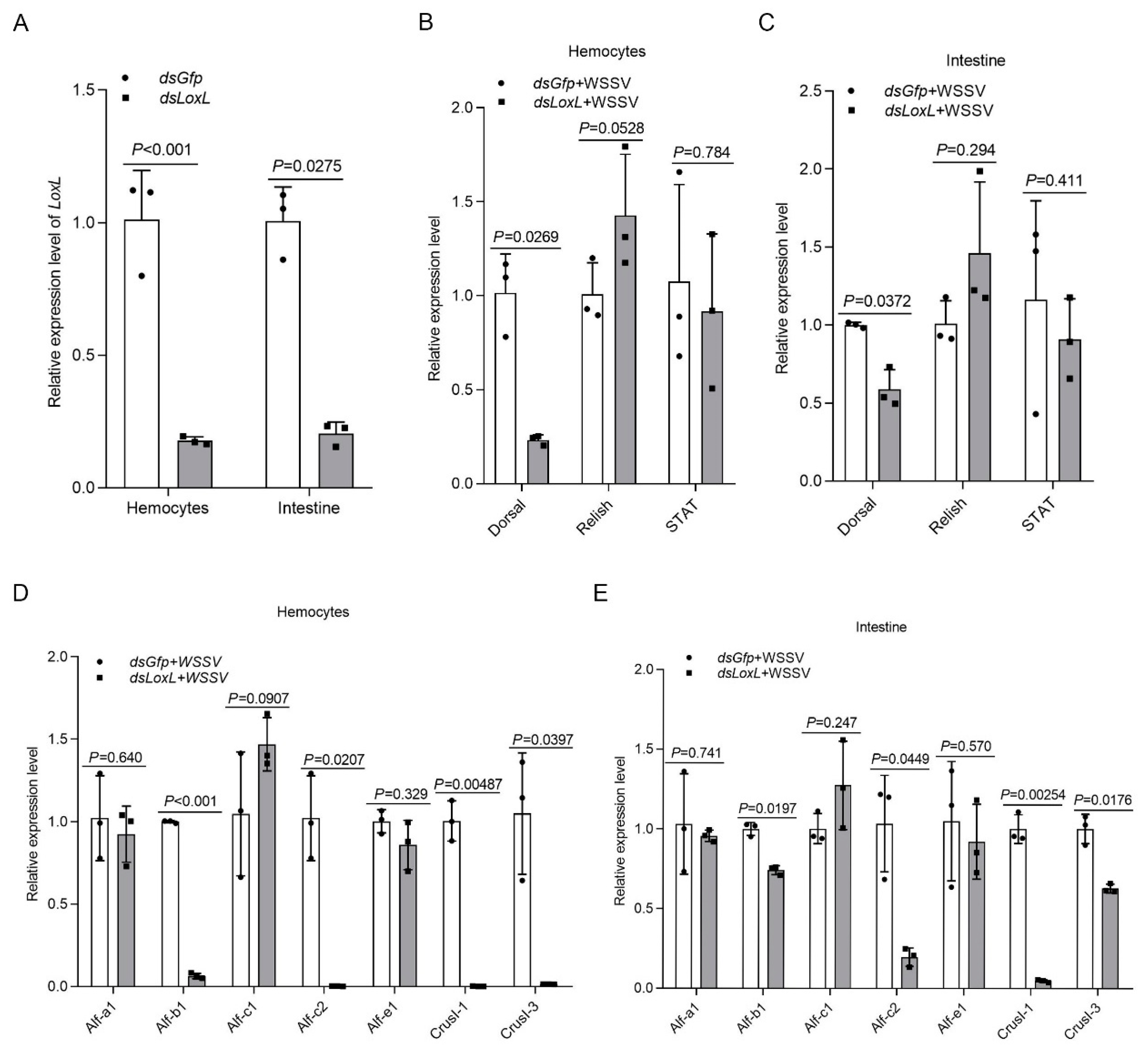 Viruses 14 02072 g003 Viruses 14 02072 g003