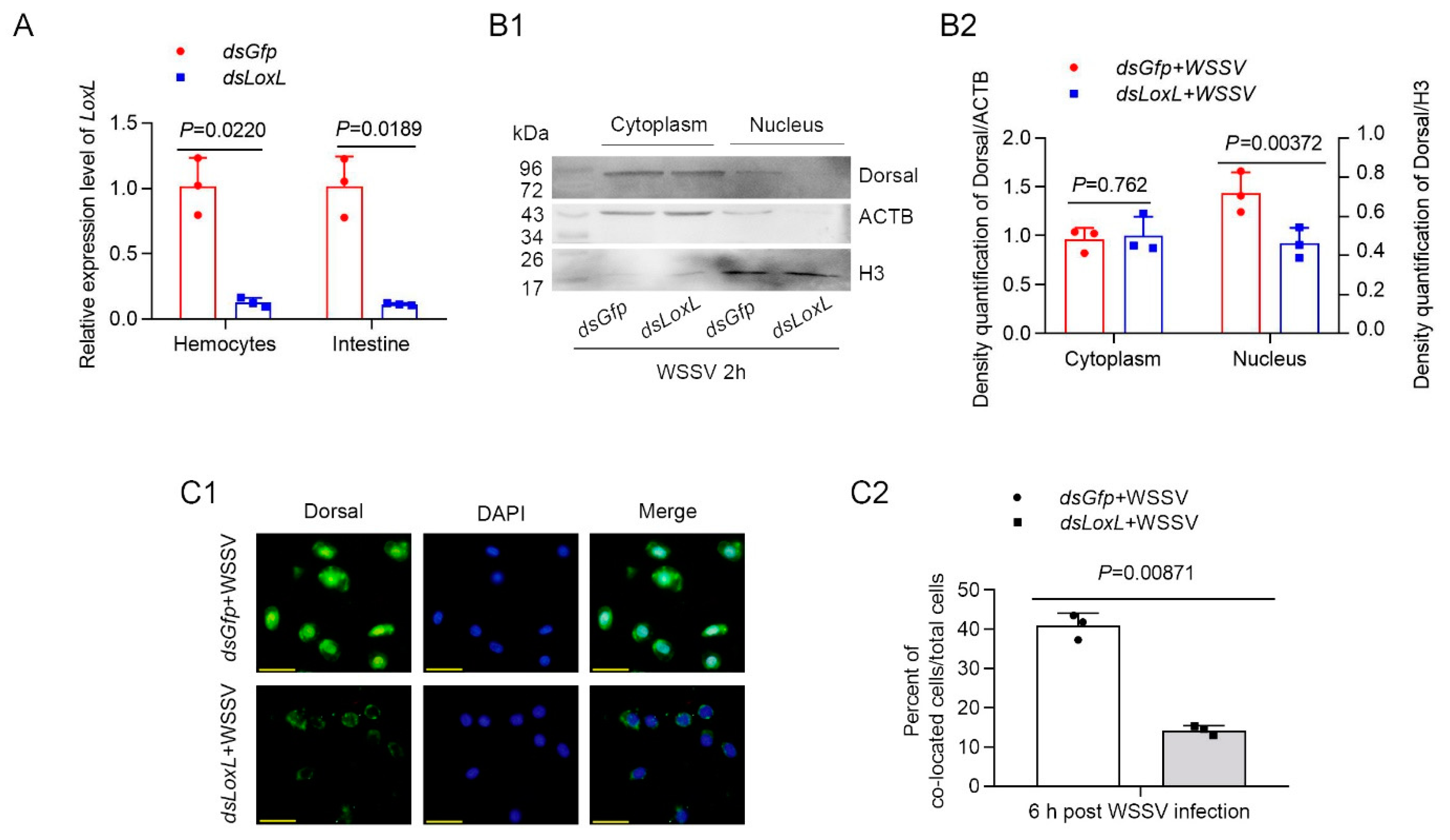 Viruses 14 02072 g004 Viruses 14 02072 g004