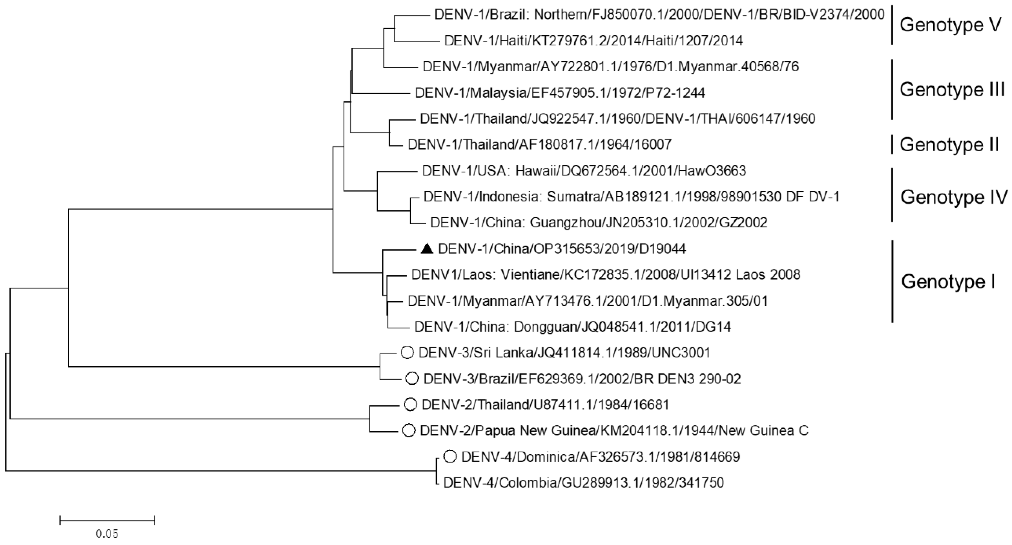 Viruses 14 02073 g001