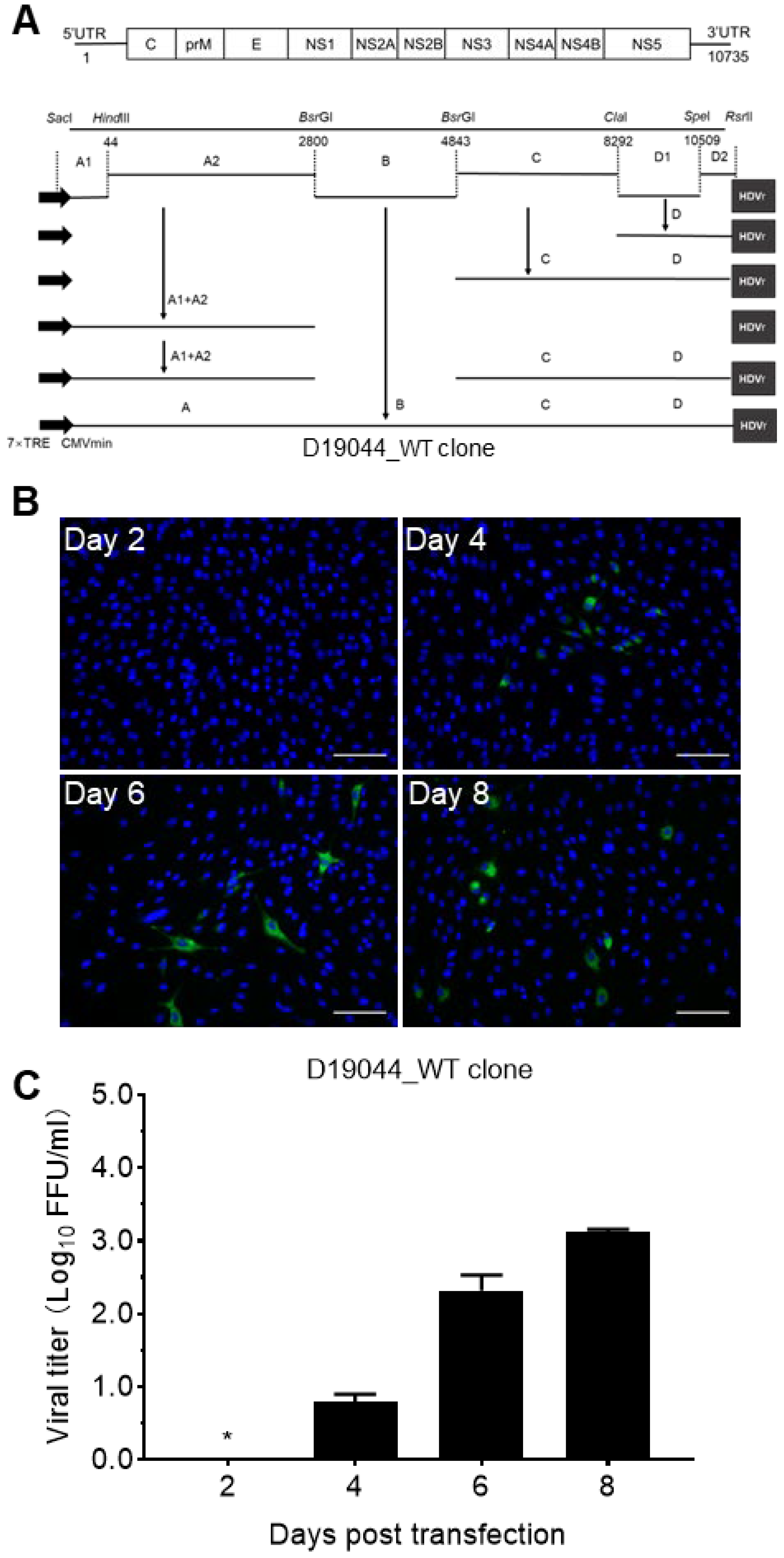Viruses 14 02073 g002
