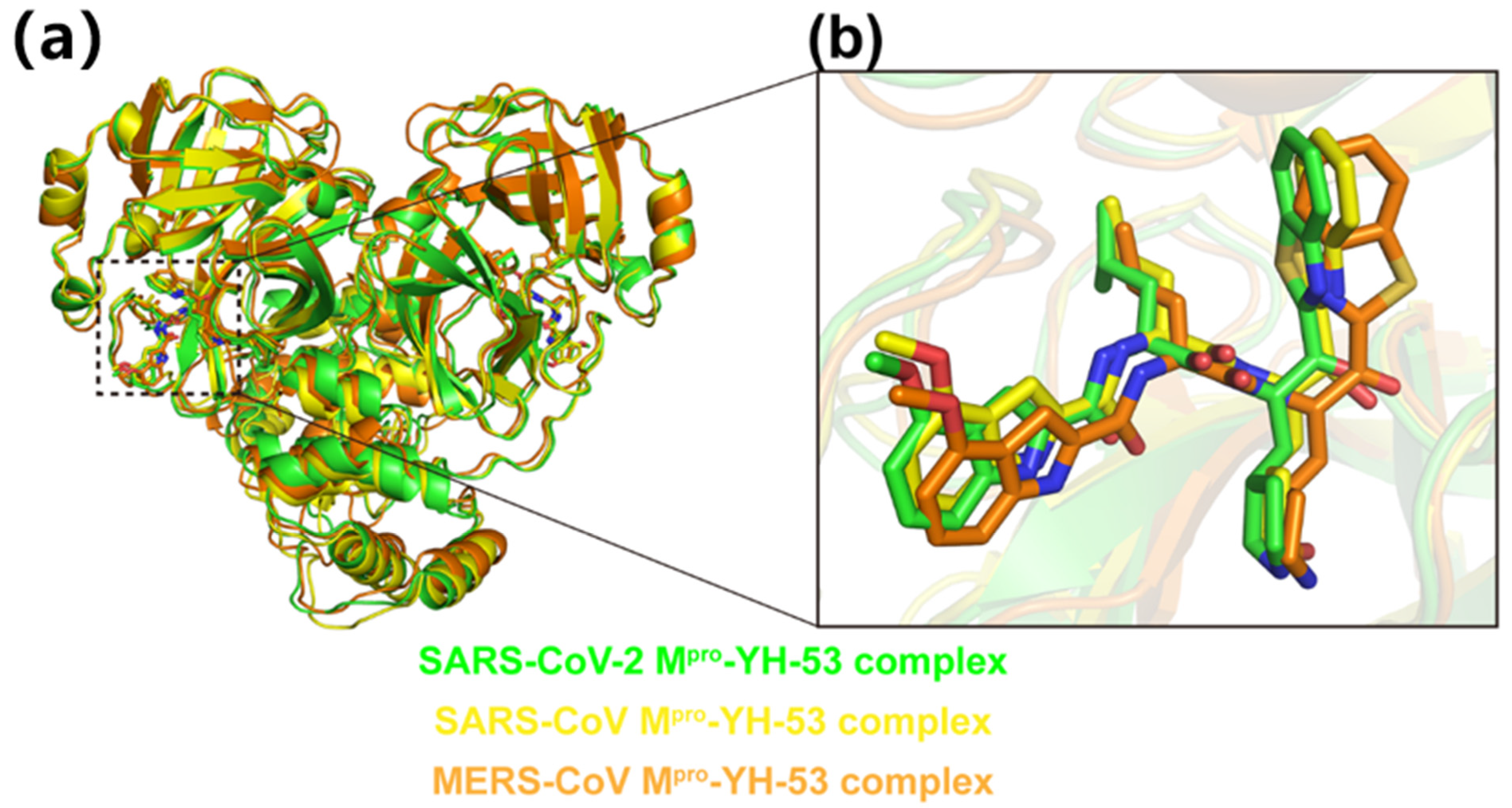 Viruses 14 02075 g003 Viruses 14 02075 g003