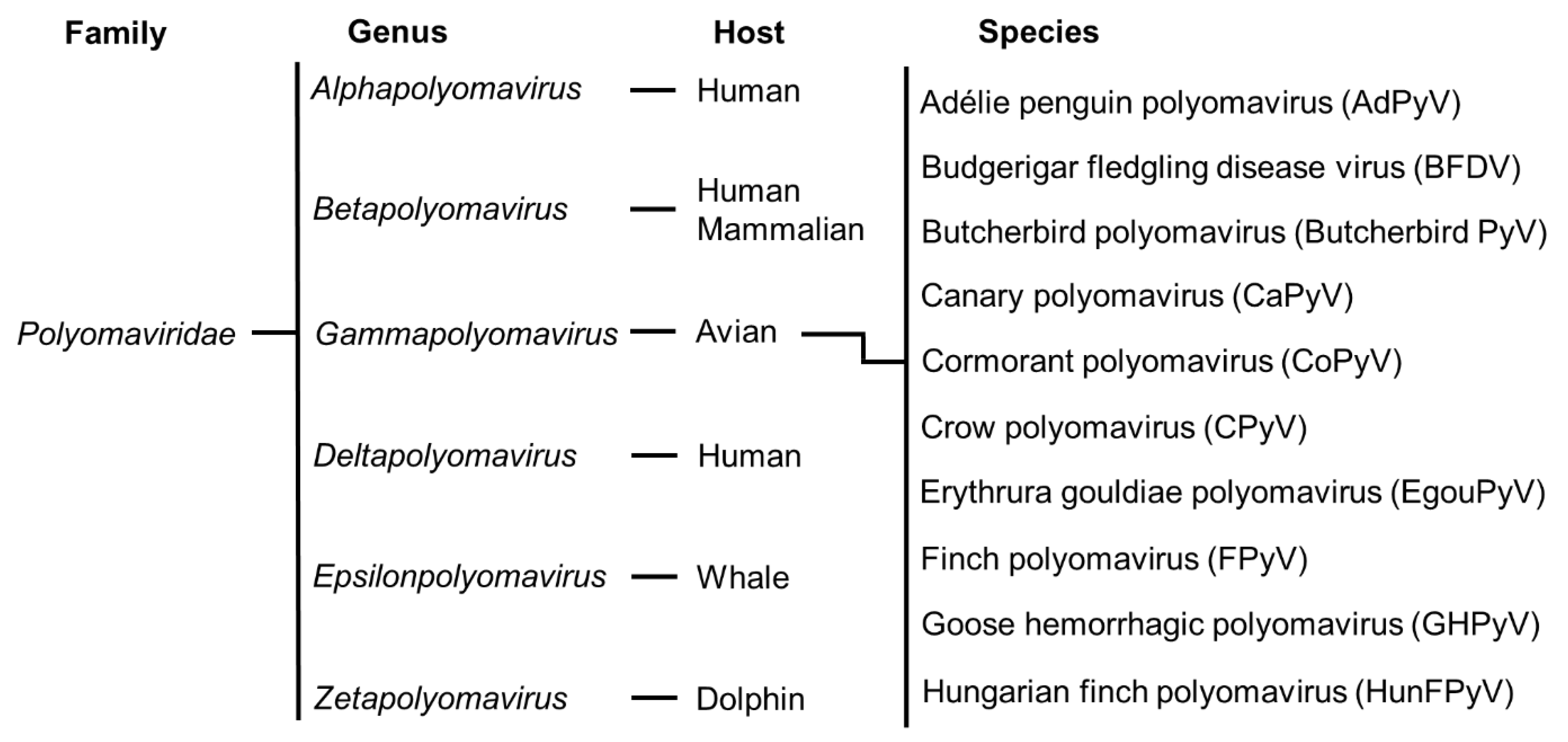 Viruses 14 02079 g002 Viruses 14 02079 g002
