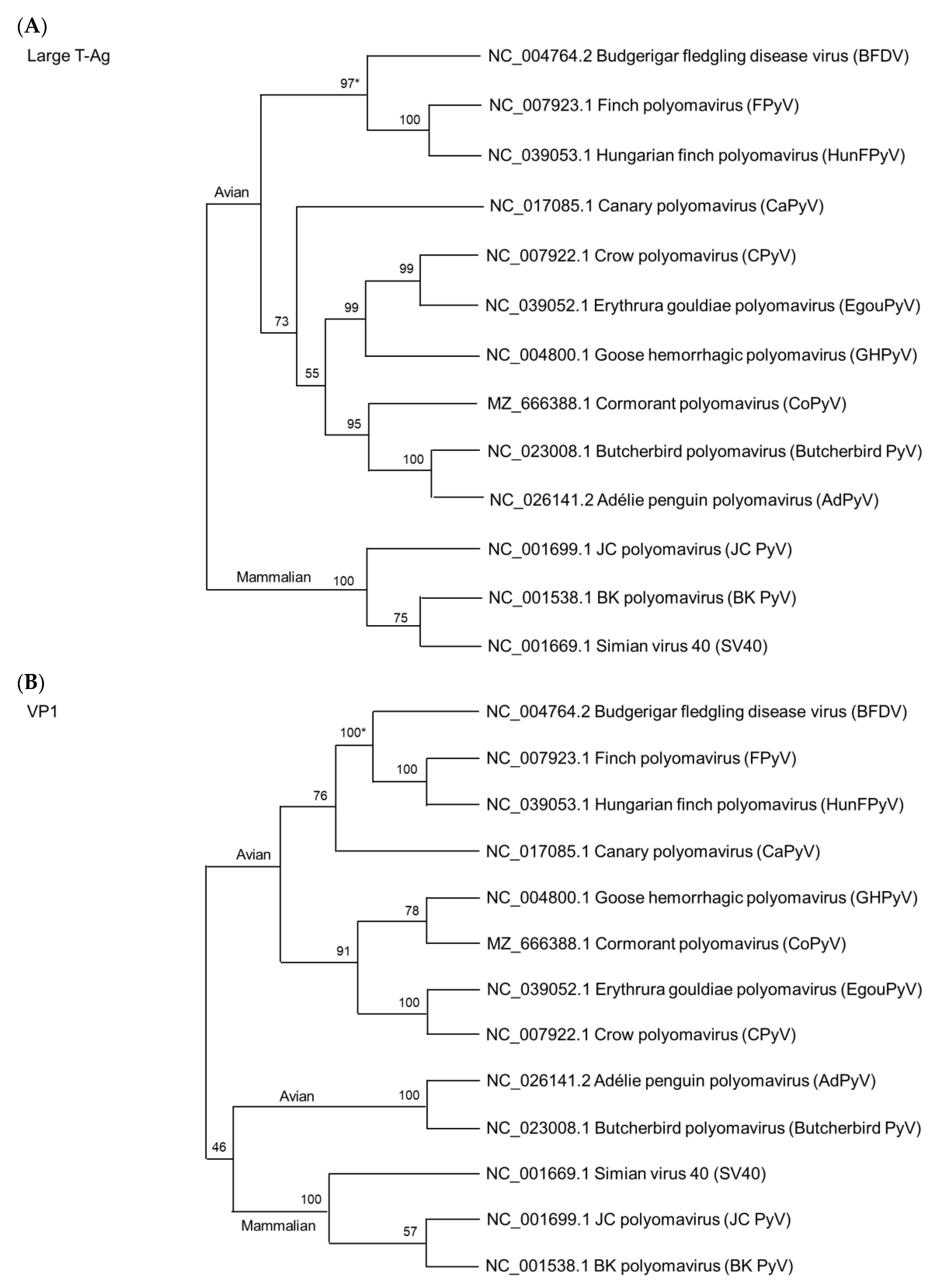 Viruses 14 02079 g003 Viruses 14 02079 g003