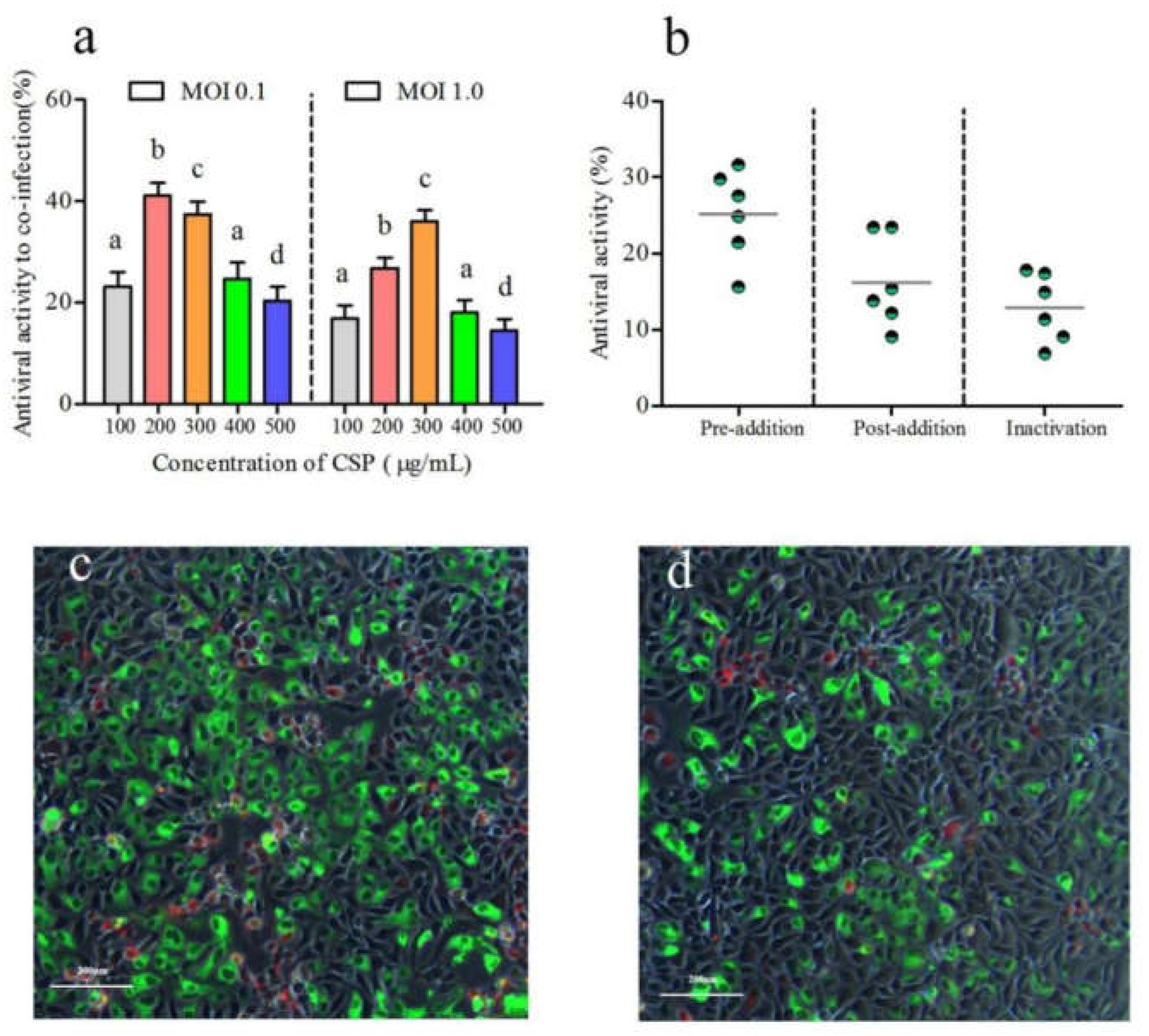 Viruses 14 02080 g005 Viruses 14 02080 g005