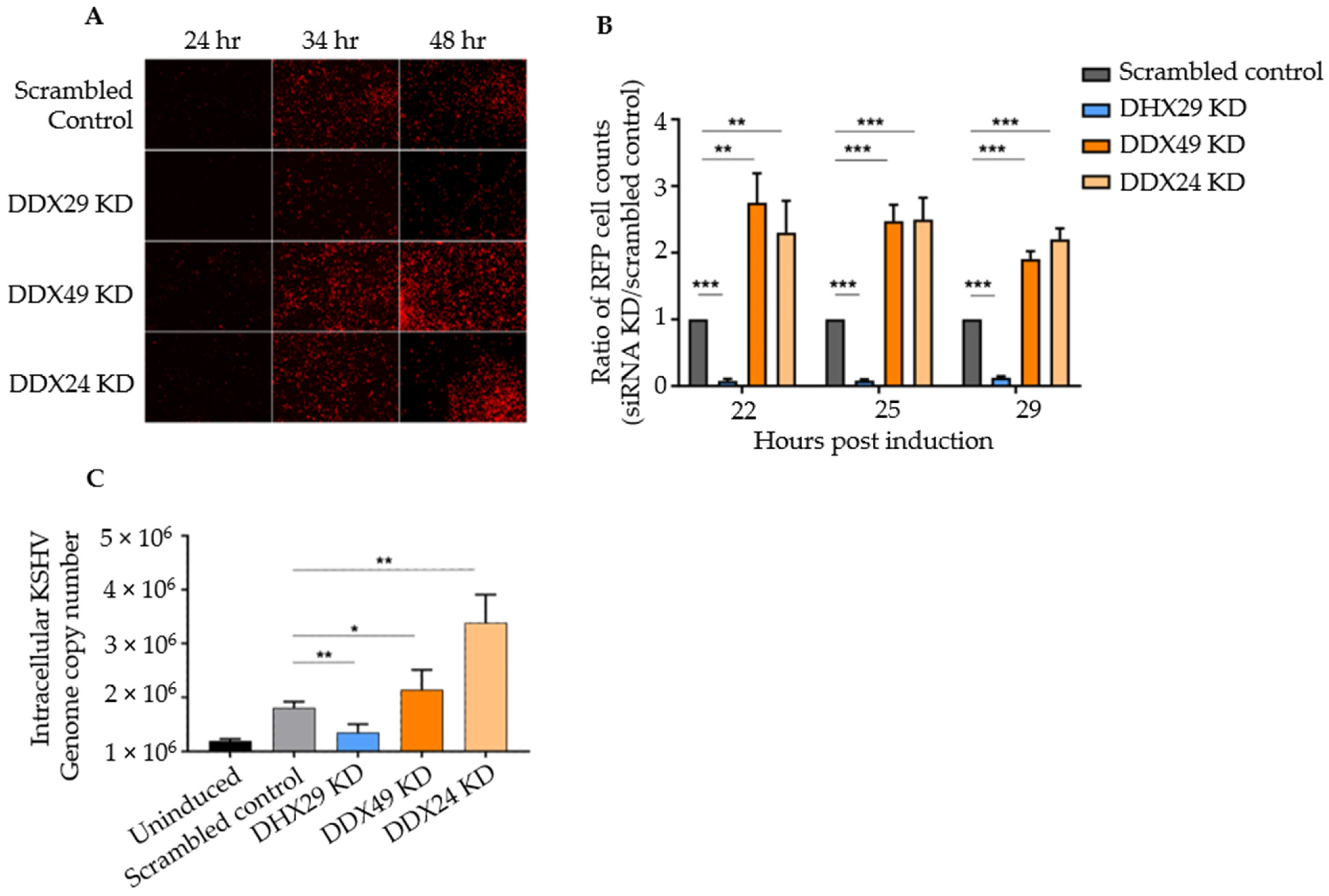 Viruses 14 02083 g001