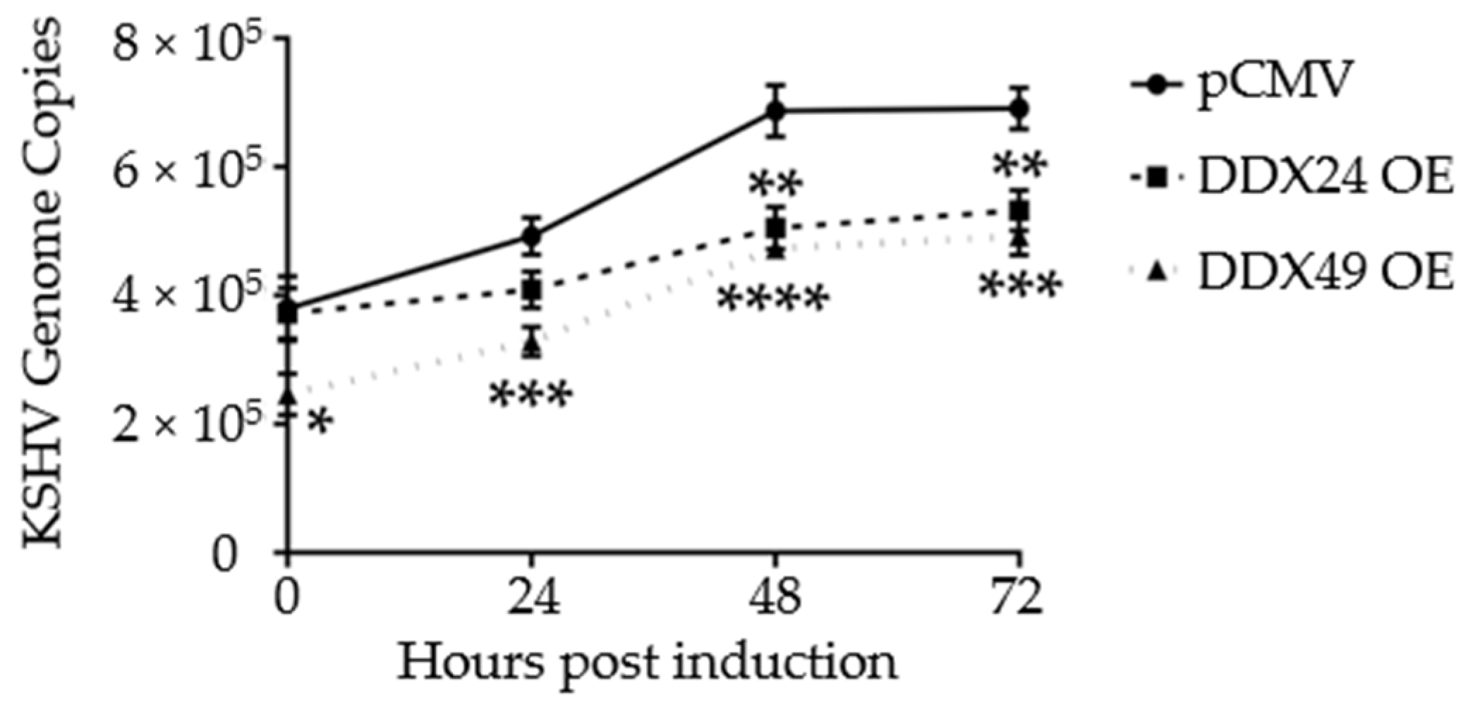Viruses 14 02083 g004