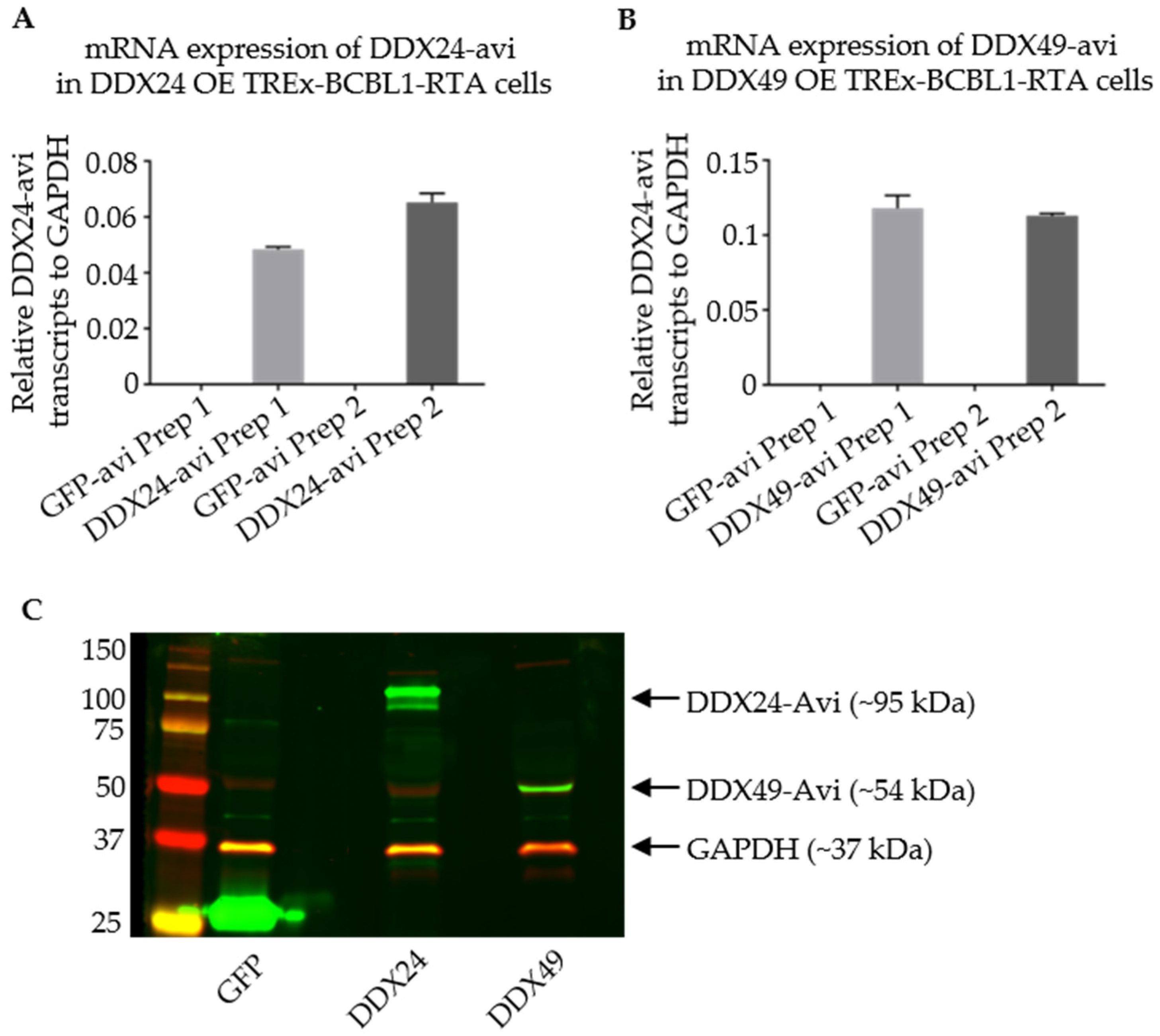 Viruses 14 02083 g005