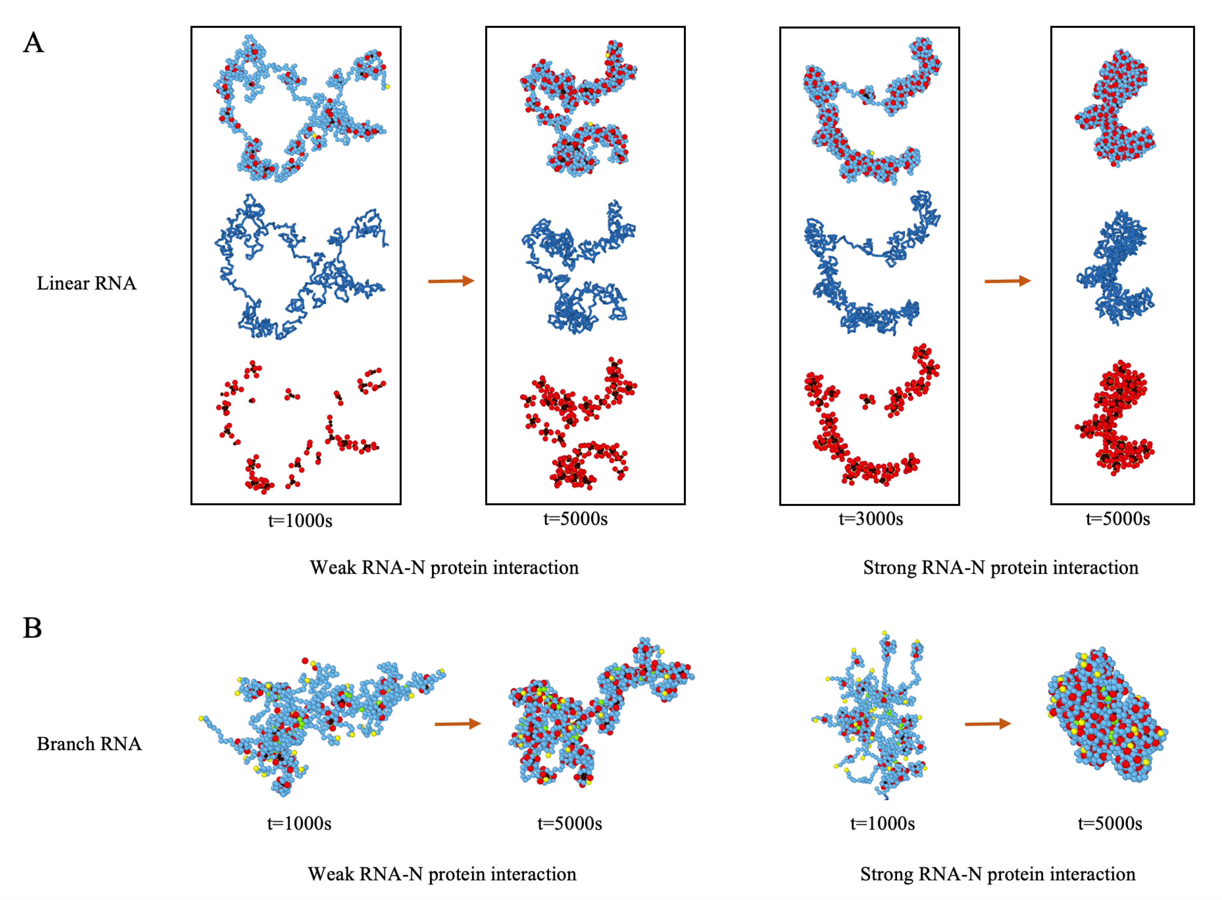 Viruses 14 02089 g005 Viruses 14 02089 g005