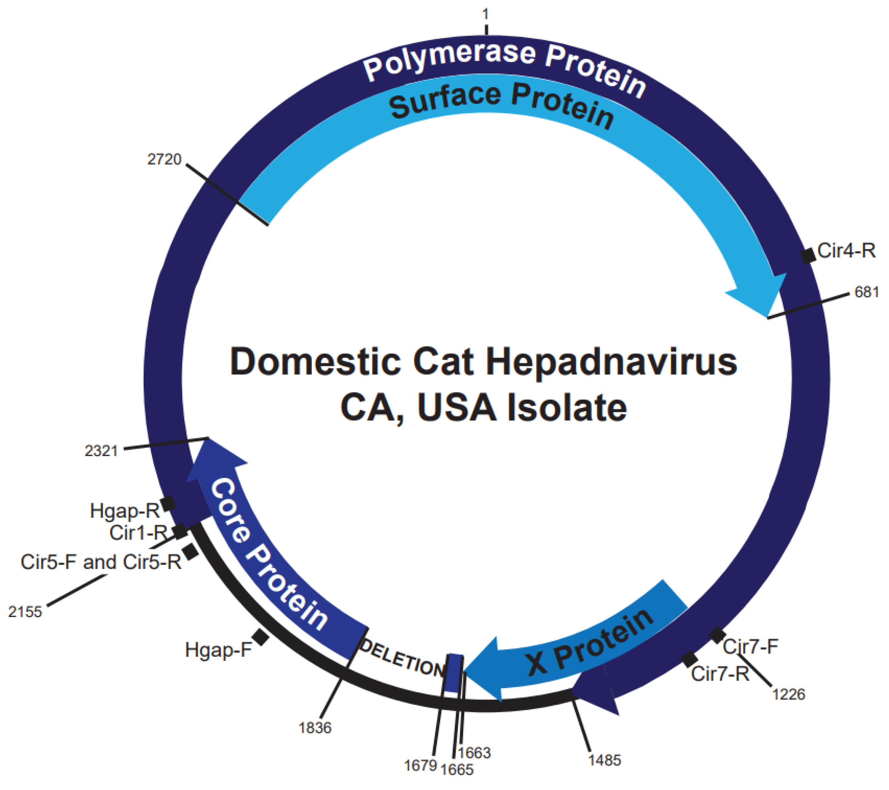 Viruses 14 02091 g002 Viruses 14 02091 g002