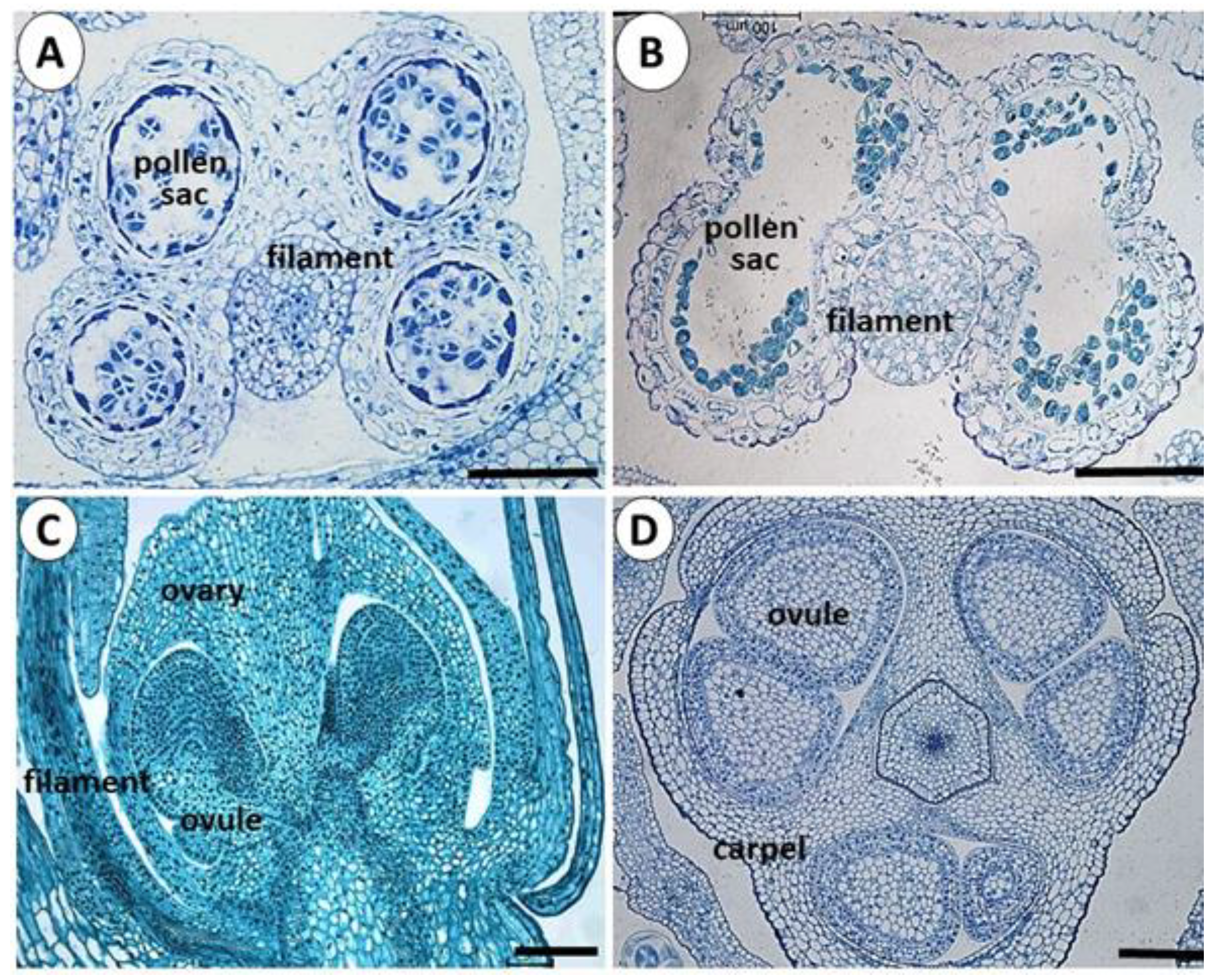 Viruses 14 02092 g003