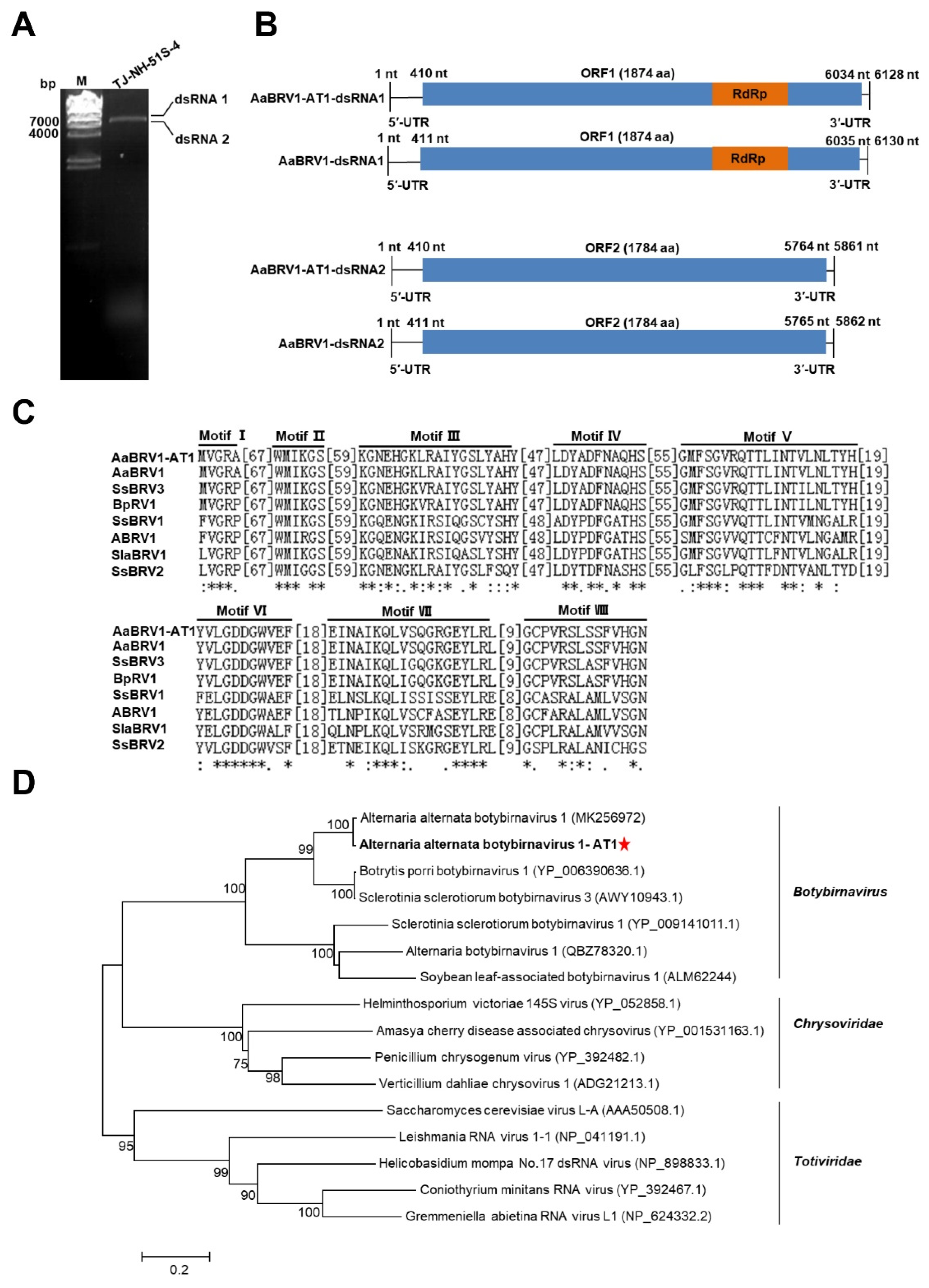 Viruses 14 02093 g001 Viruses 14 02093 g001