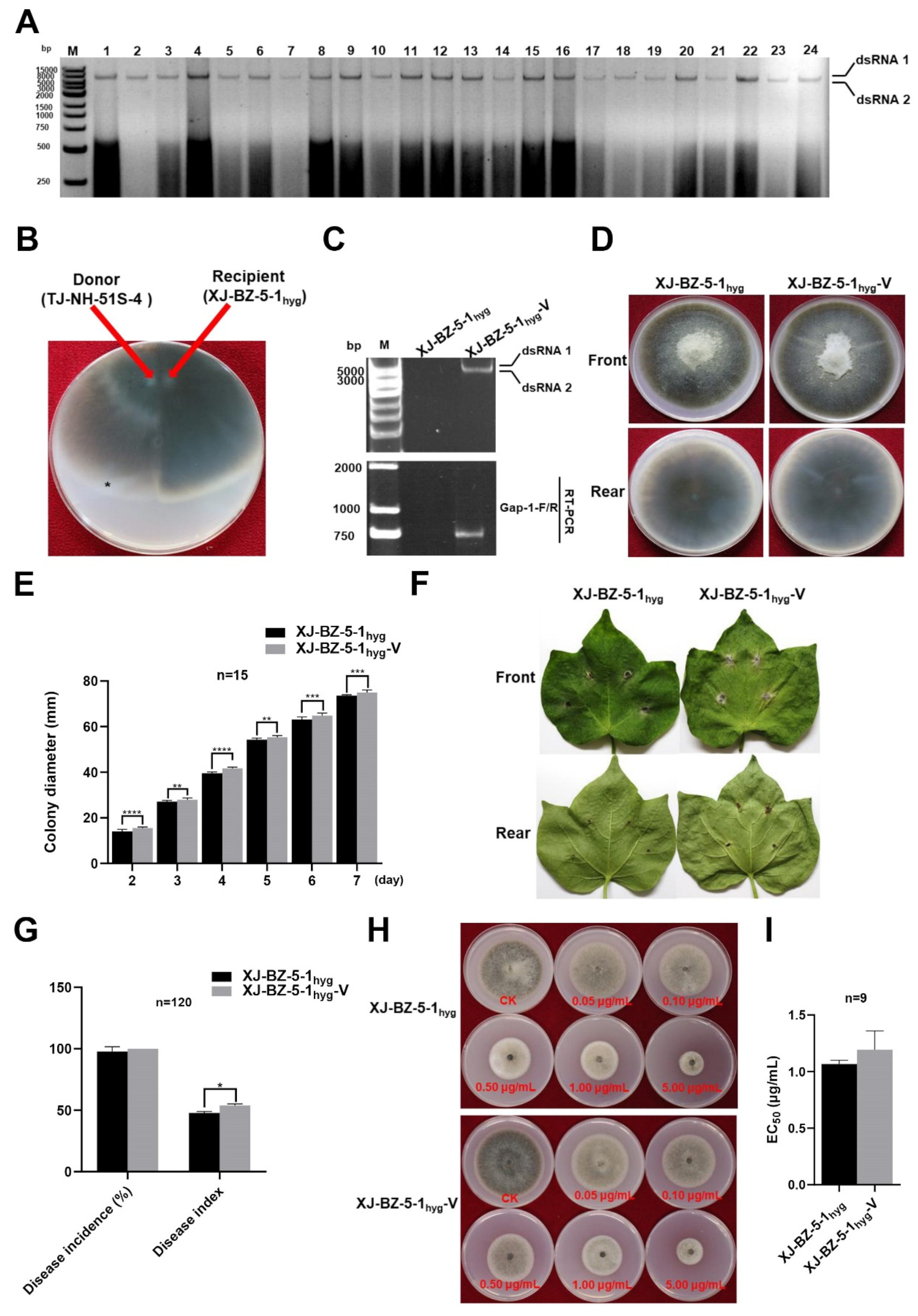 Viruses 14 02093 g003 Viruses 14 02093 g003