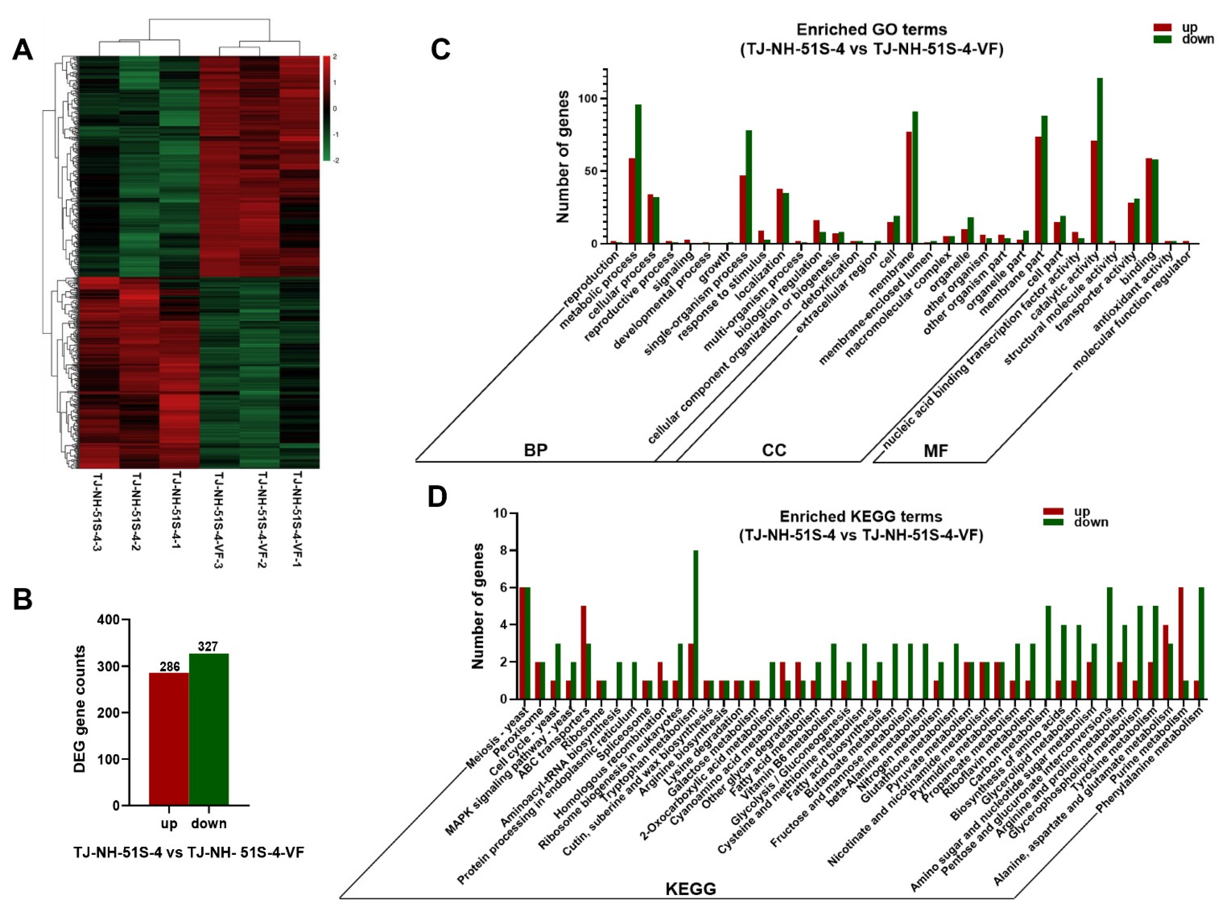 Viruses 14 02093 g004 Viruses 14 02093 g004