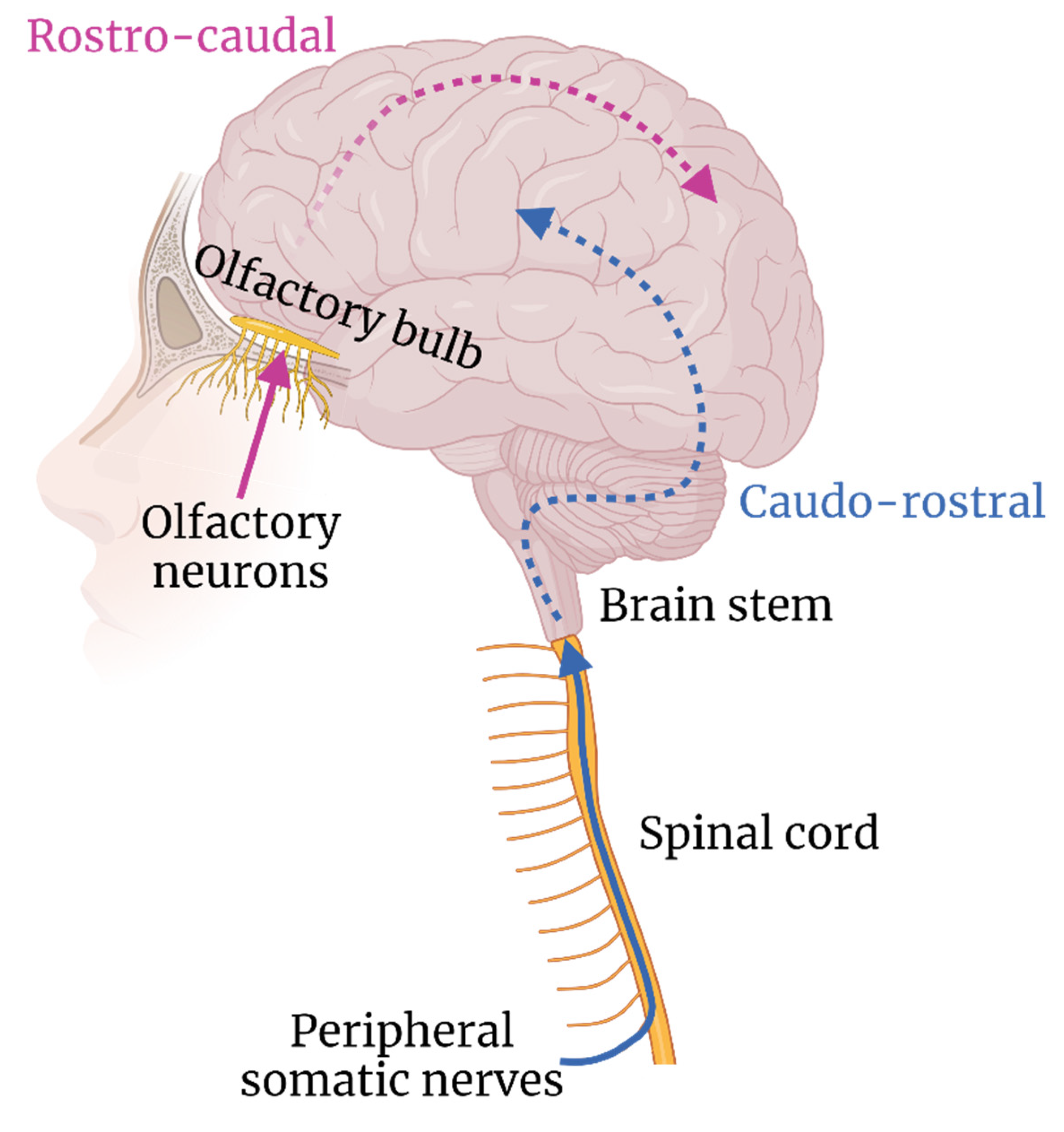 Viruses 14 02096 g002 Viruses 14 02096 g002