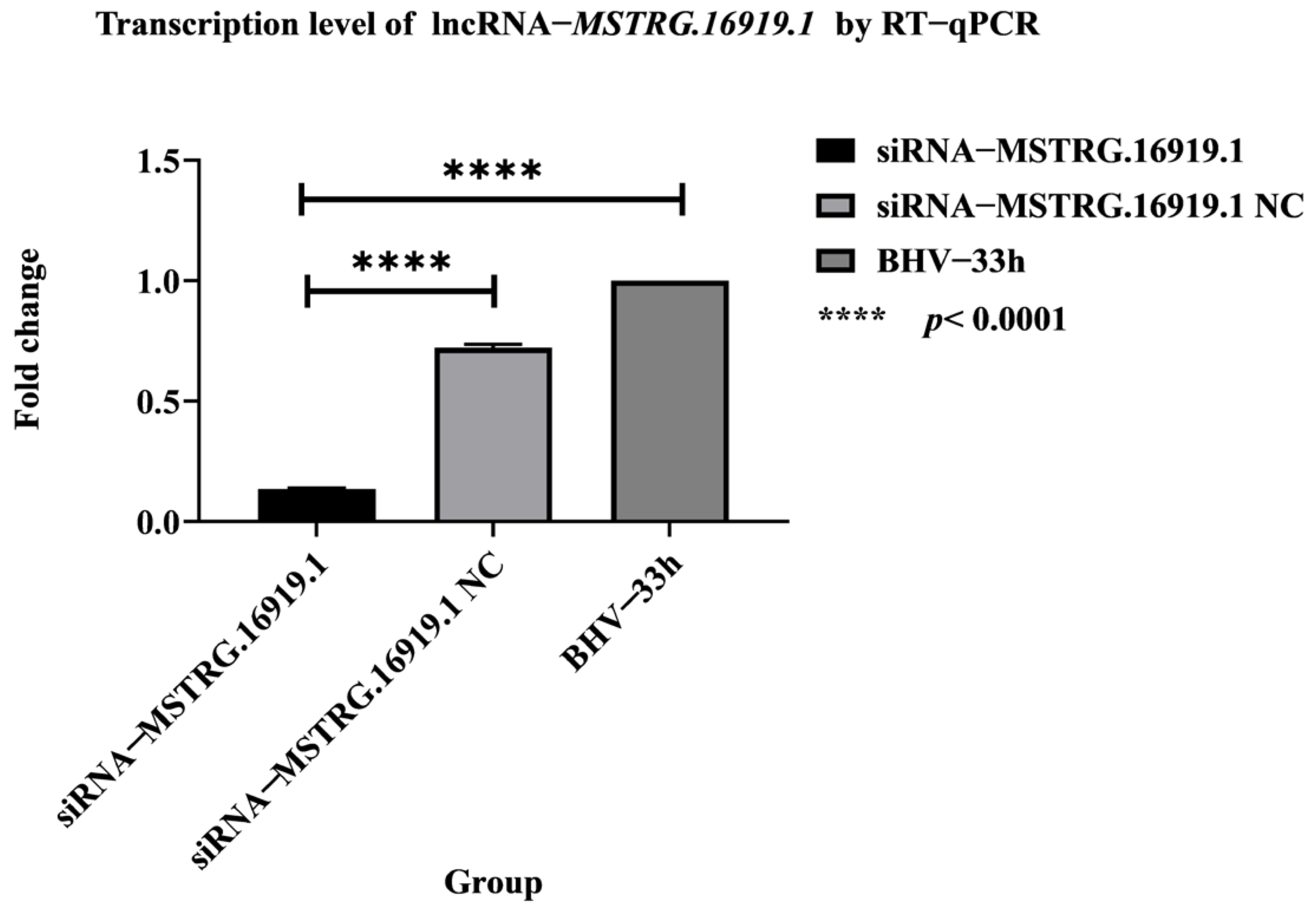 Viruses 14 02104 g001