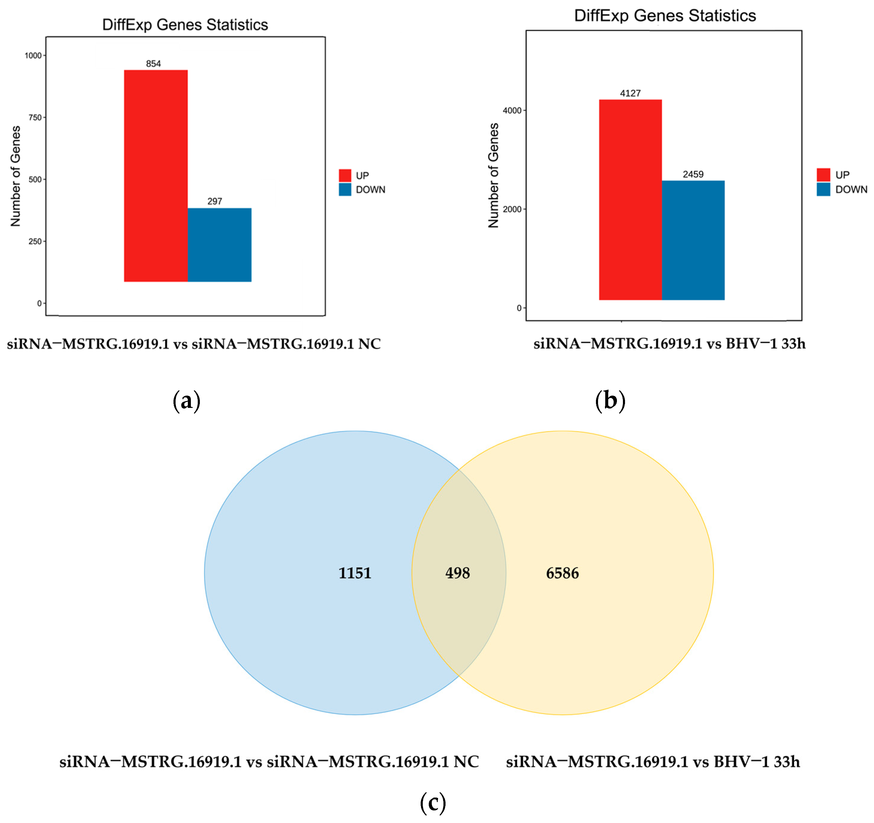 Viruses 14 02104 g002