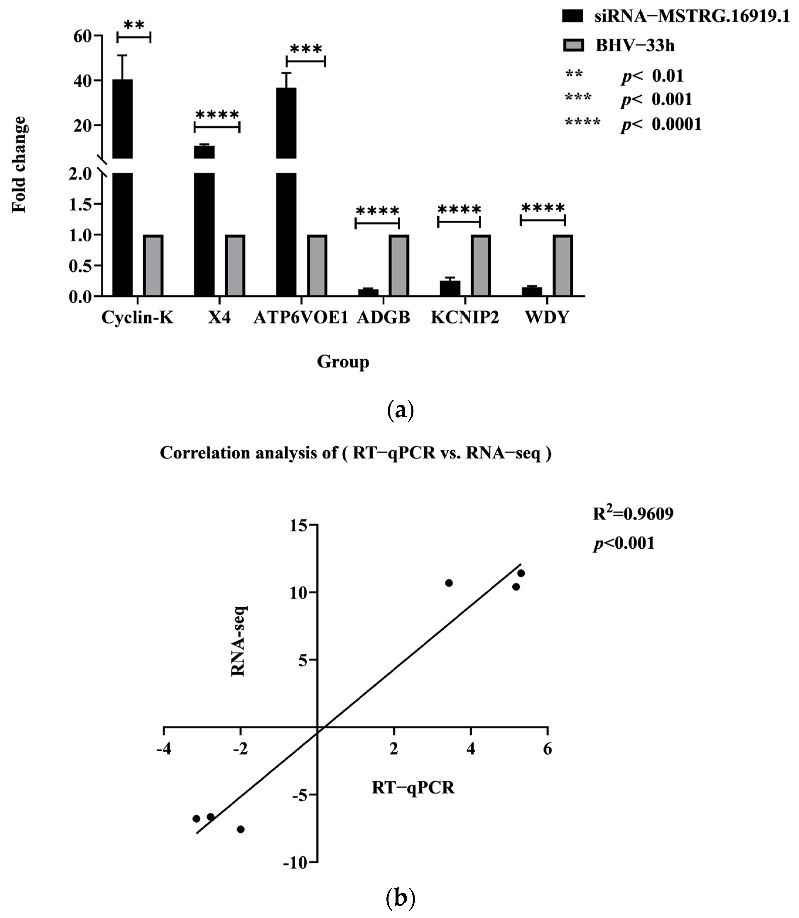 Viruses 14 02104 g004