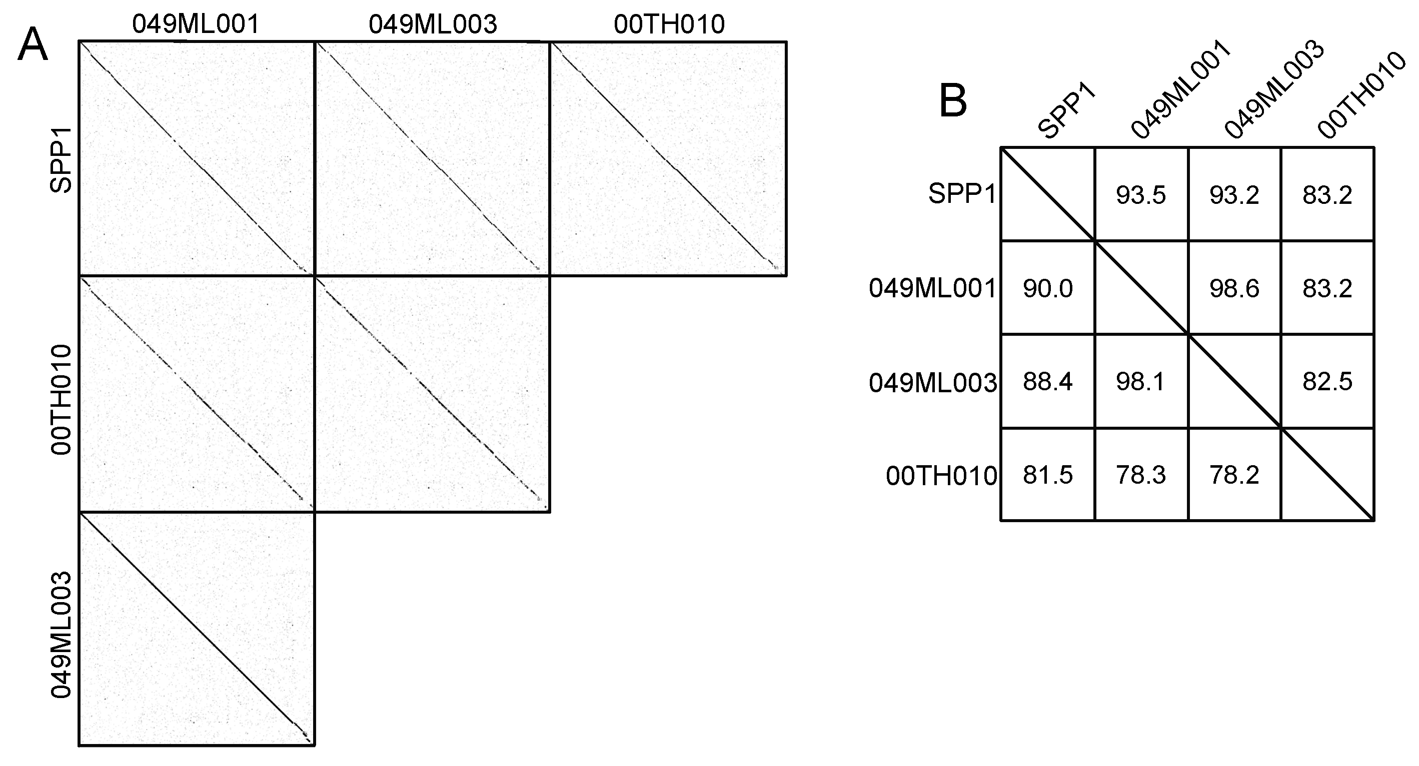 Viruses 14 02106 g001 Viruses 14 02106 g001