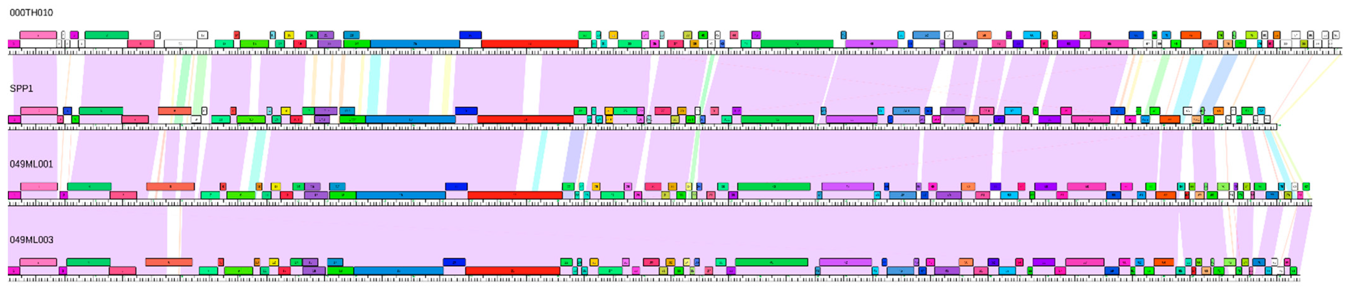 Viruses 14 02106 g004 Viruses 14 02106 g004