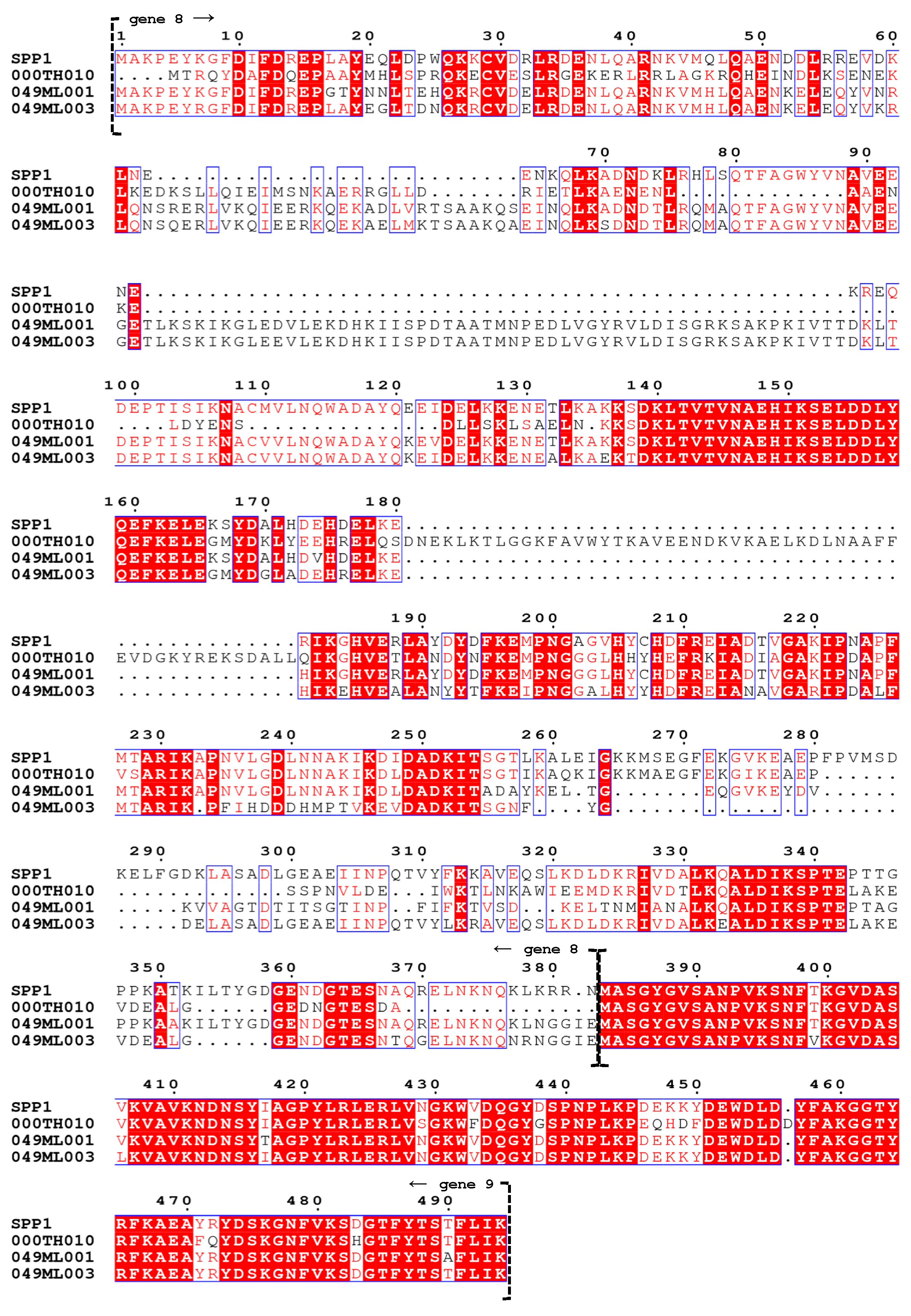 Viruses 14 02106 g005 Viruses 14 02106 g005