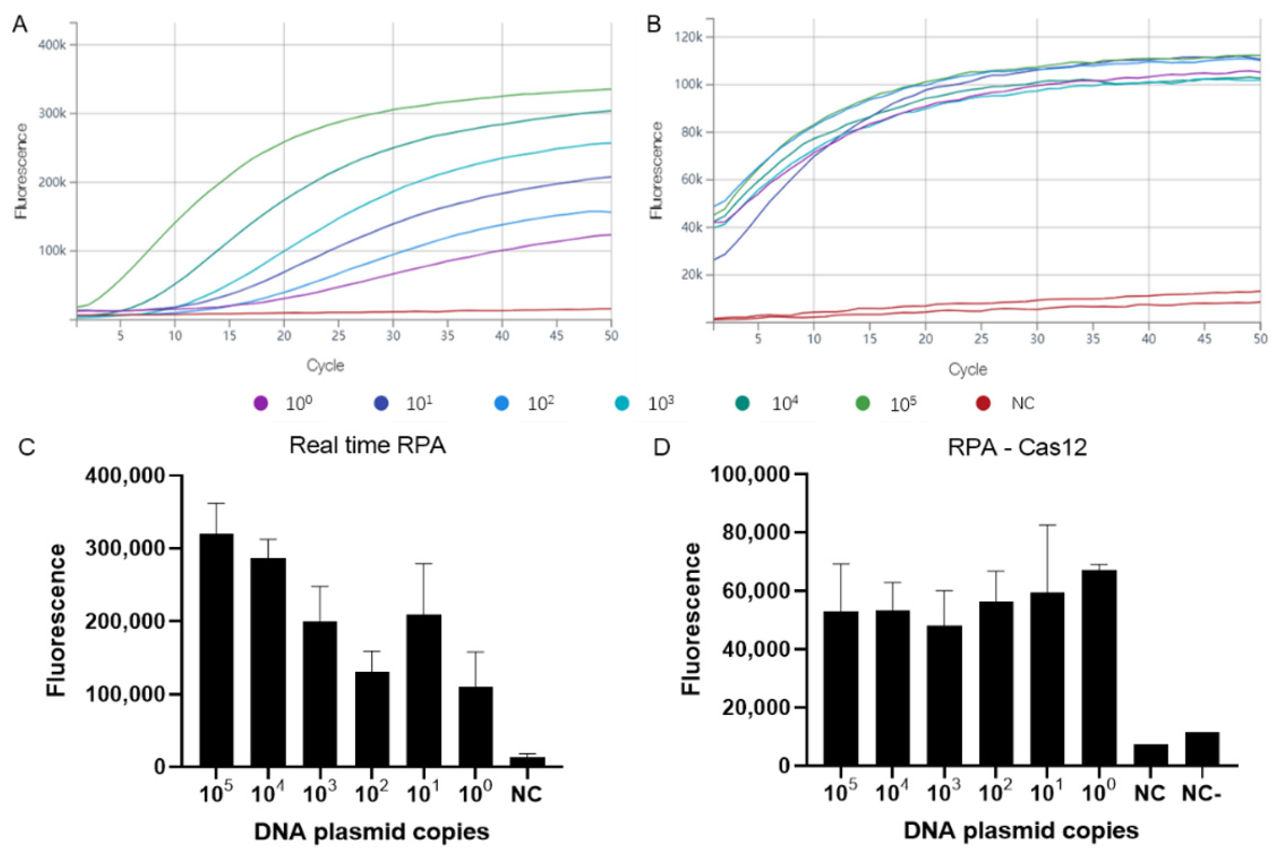 Viruses 14 02112 g001