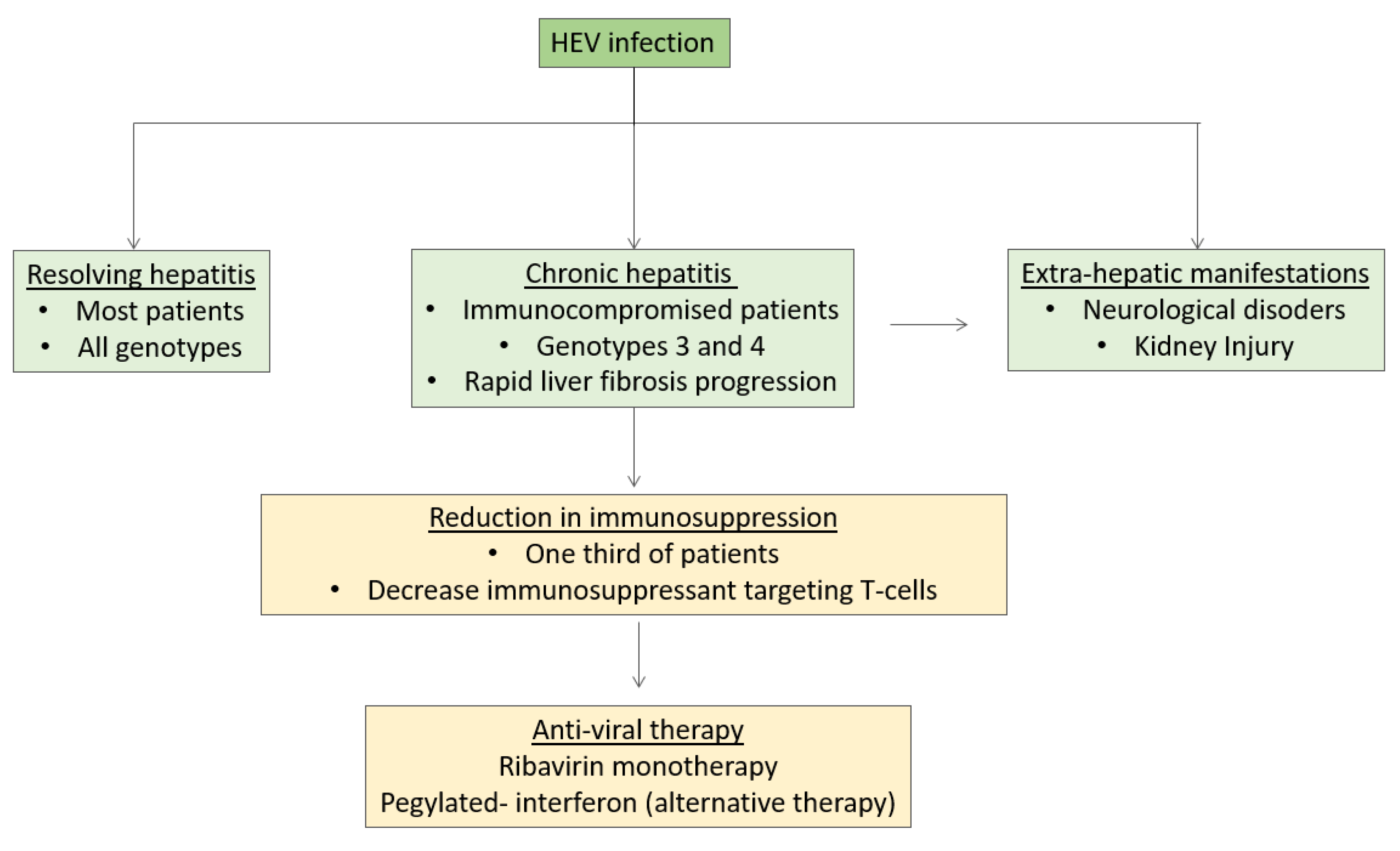Viruses Free FullText Unmet Needs for the Treatment of Chronic
