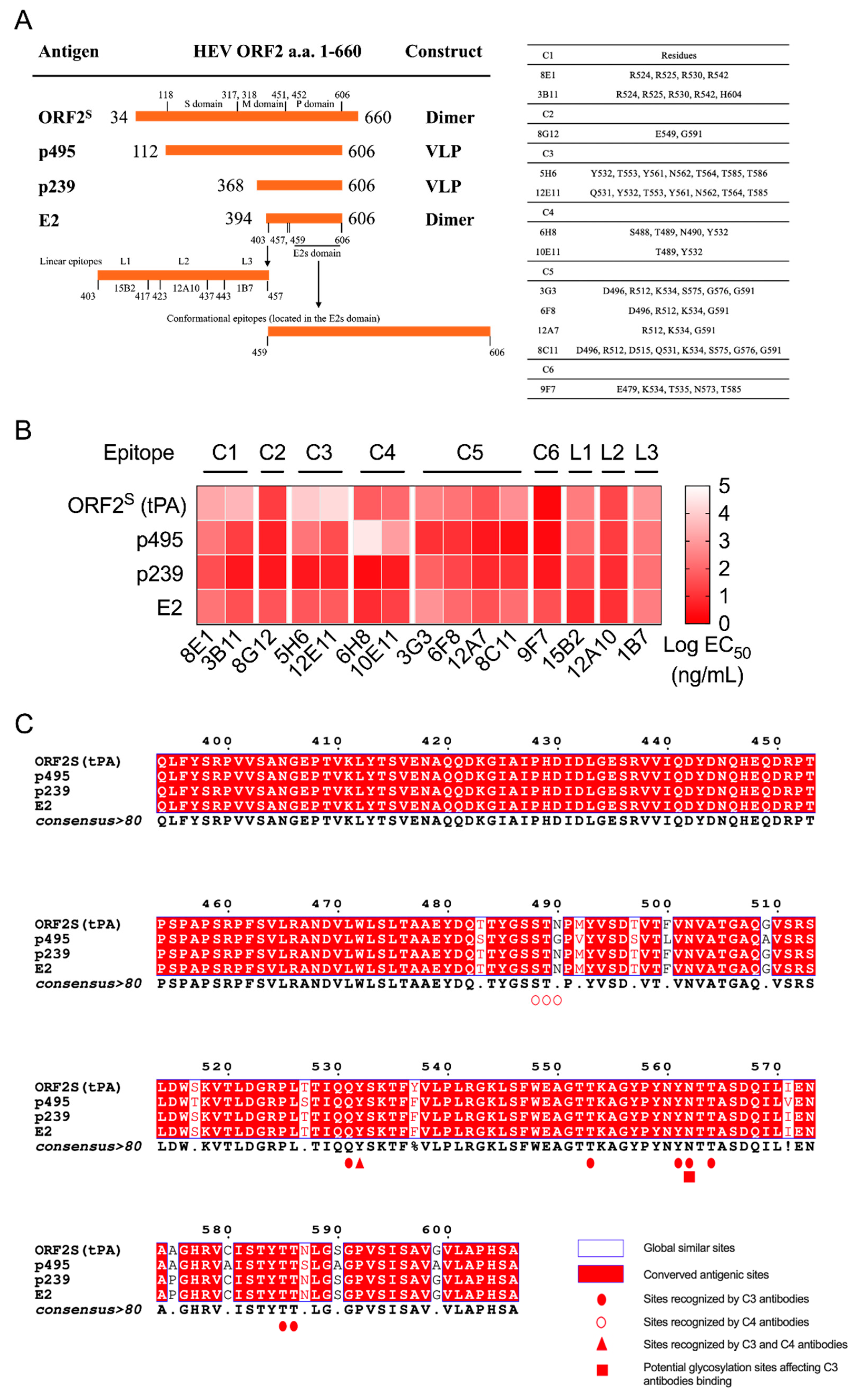 Viruses 14 02122 g002
