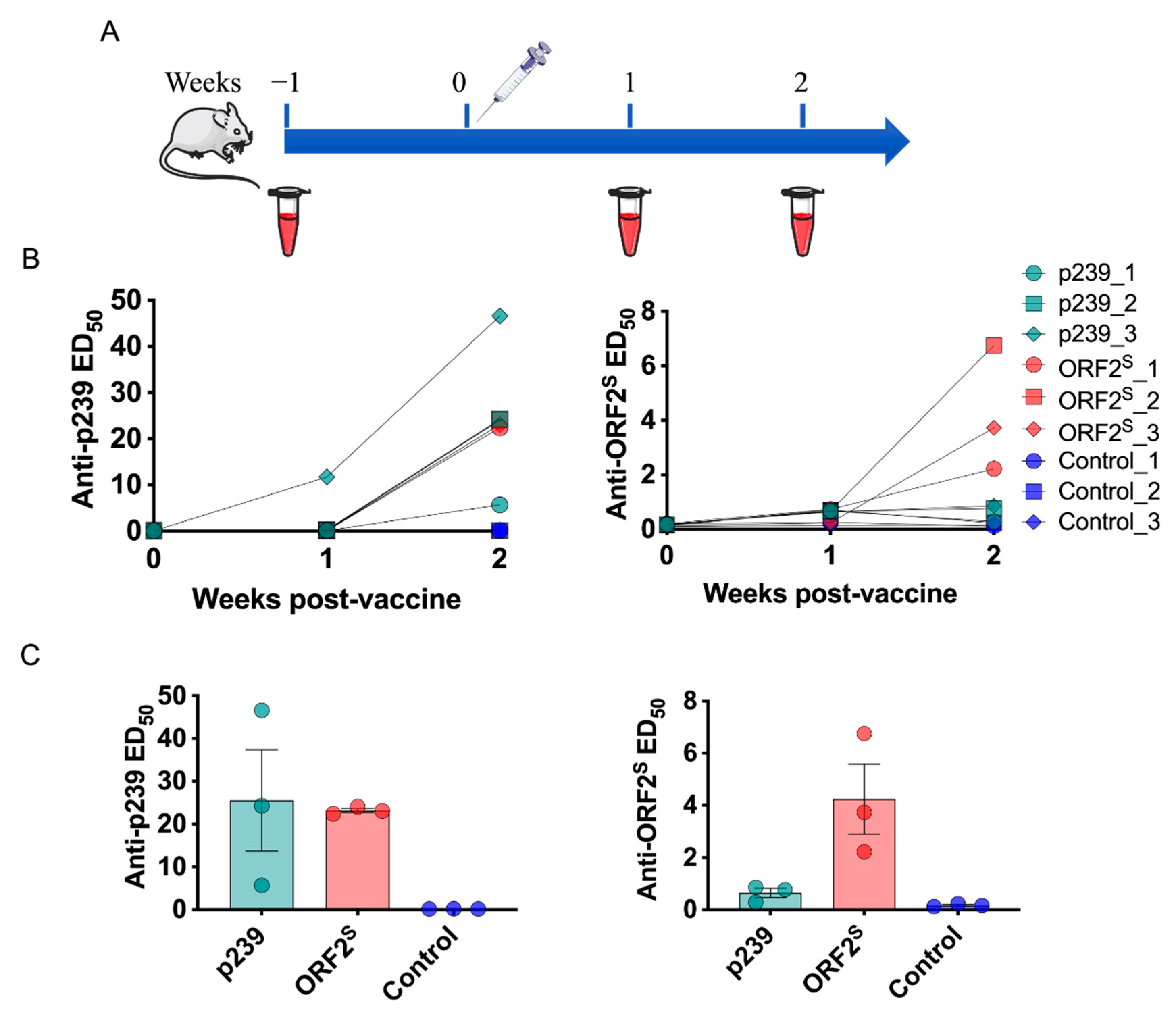 Viruses 14 02122 g003
