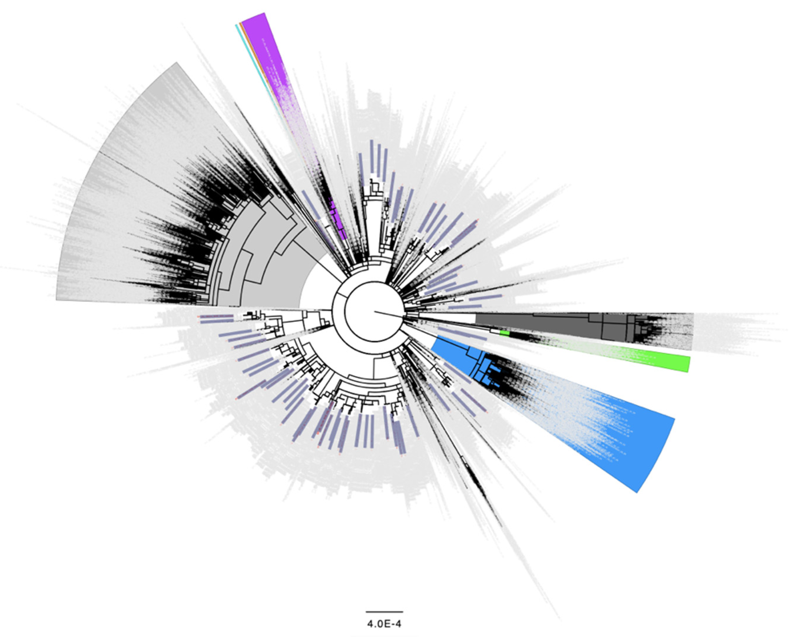 Viruses 14 02128 g002 Viruses 14 02128 g002