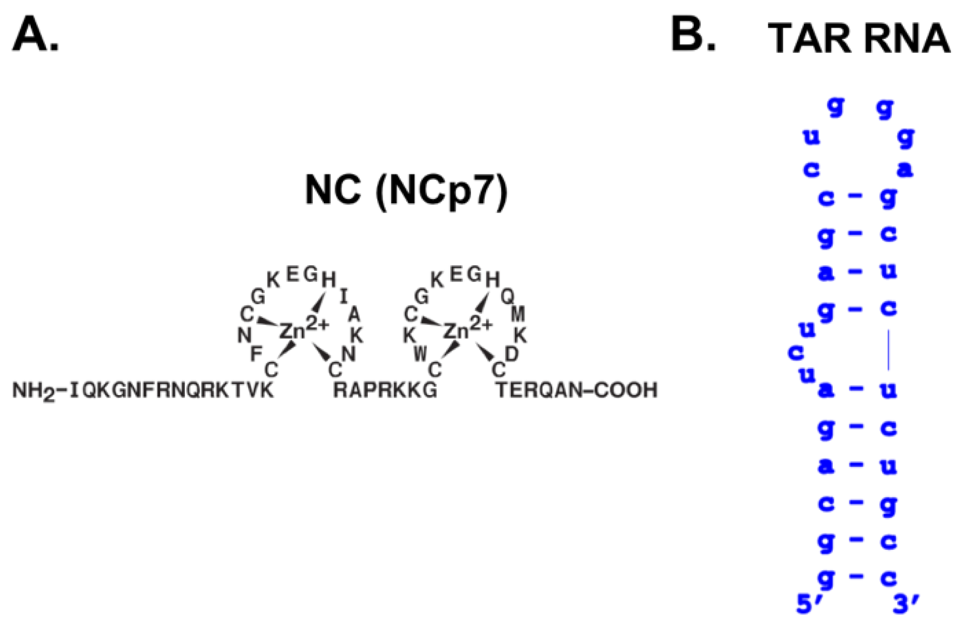 Viruses 14 02133 g001 Viruses 14 02133 g001