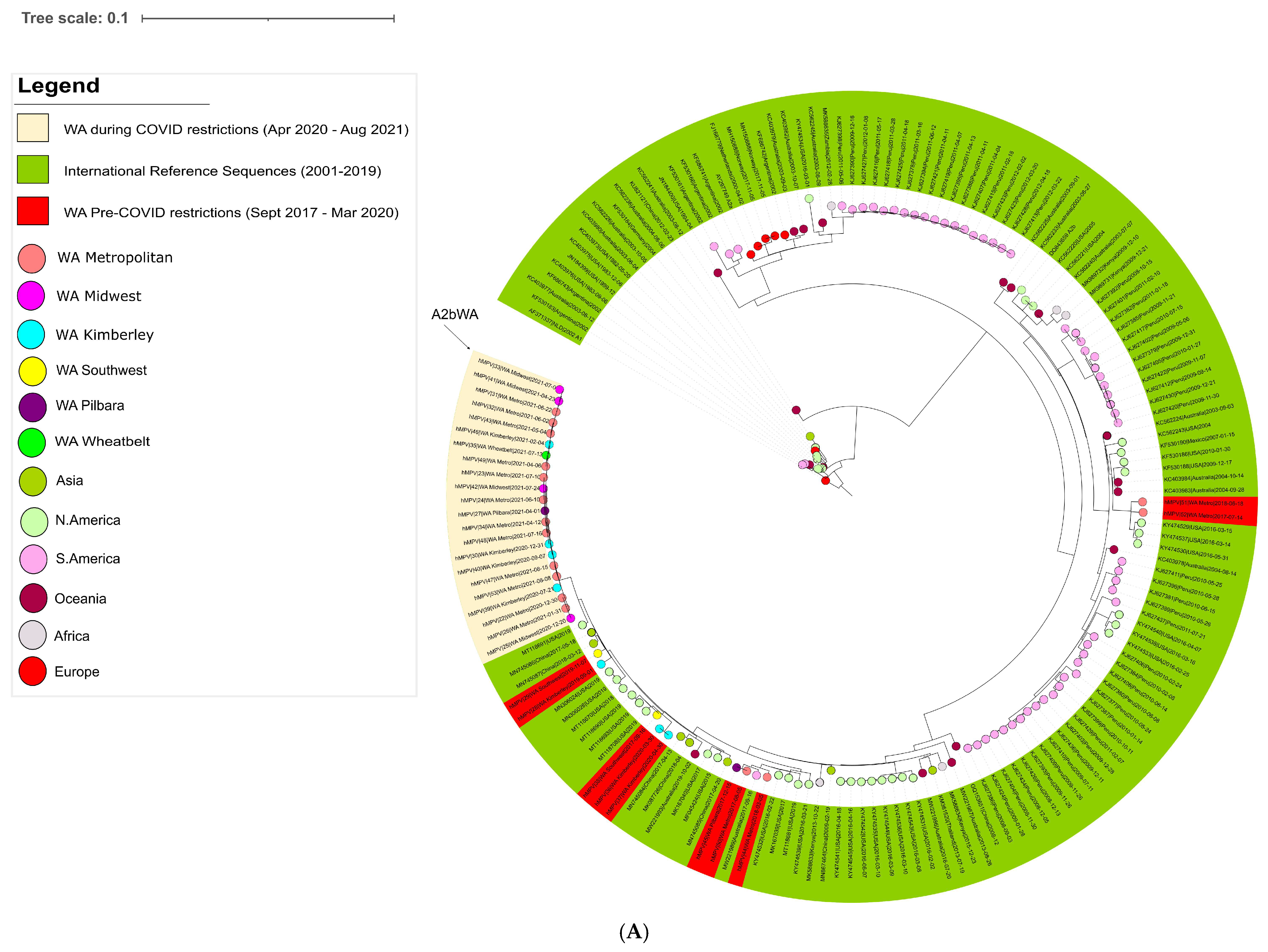 Viruses 14 02135 g003a Viruses 14 02135 g003a