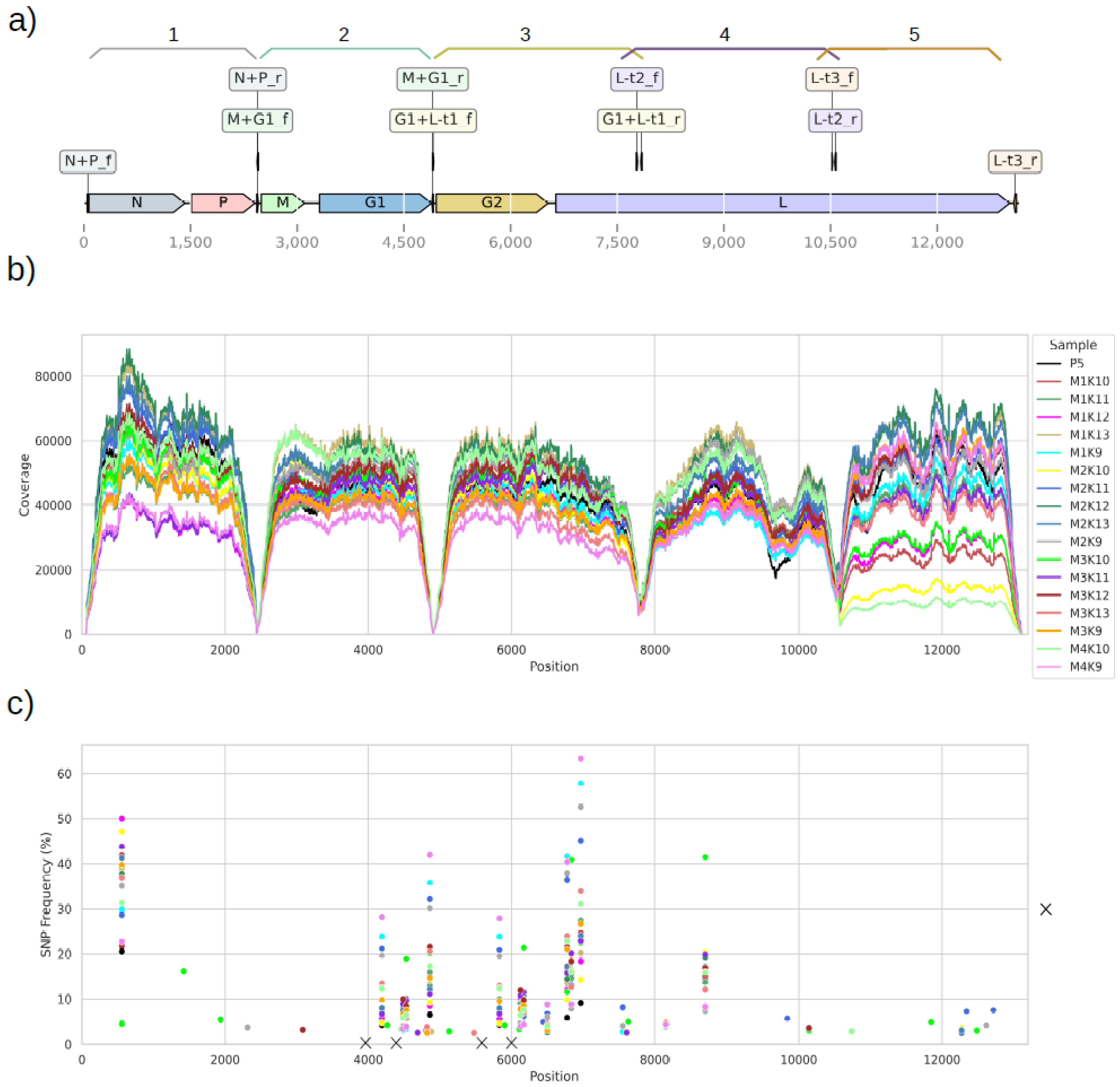 Viruses 14 02136 g001