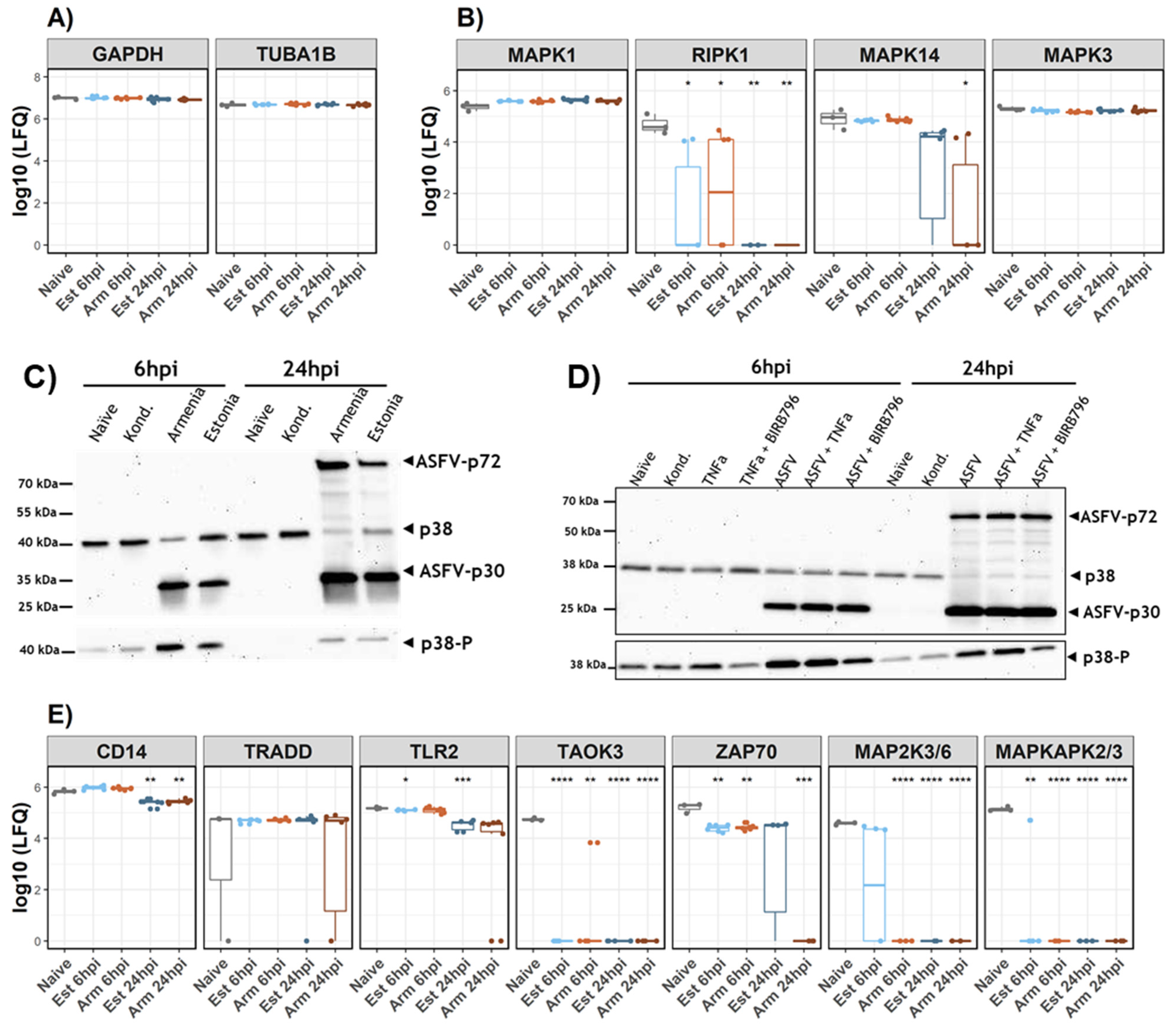 Viruses 14 02140 g005 Viruses 14 02140 g005