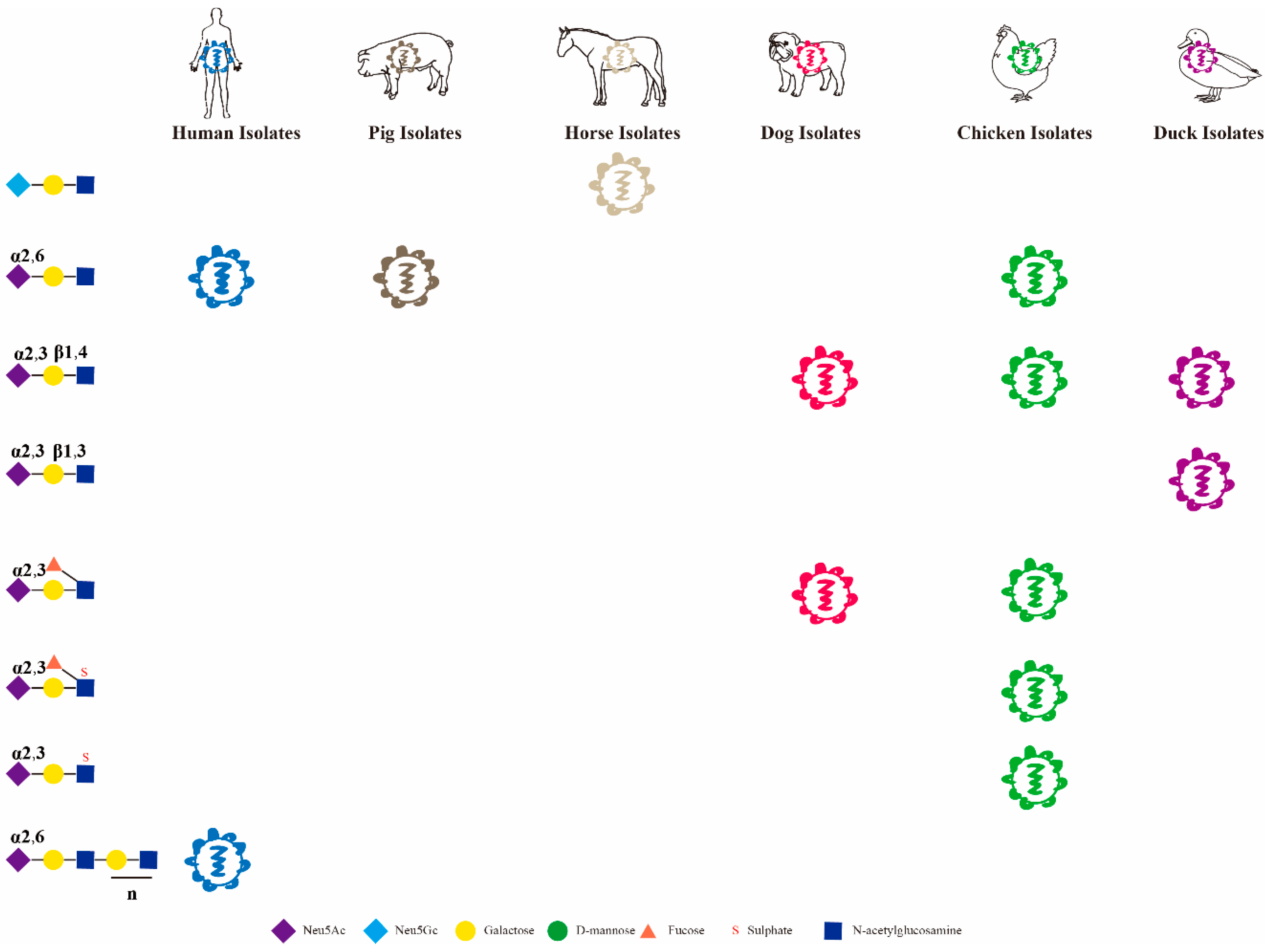 Viruses 14 02141 g002 Viruses 14 02141 g002