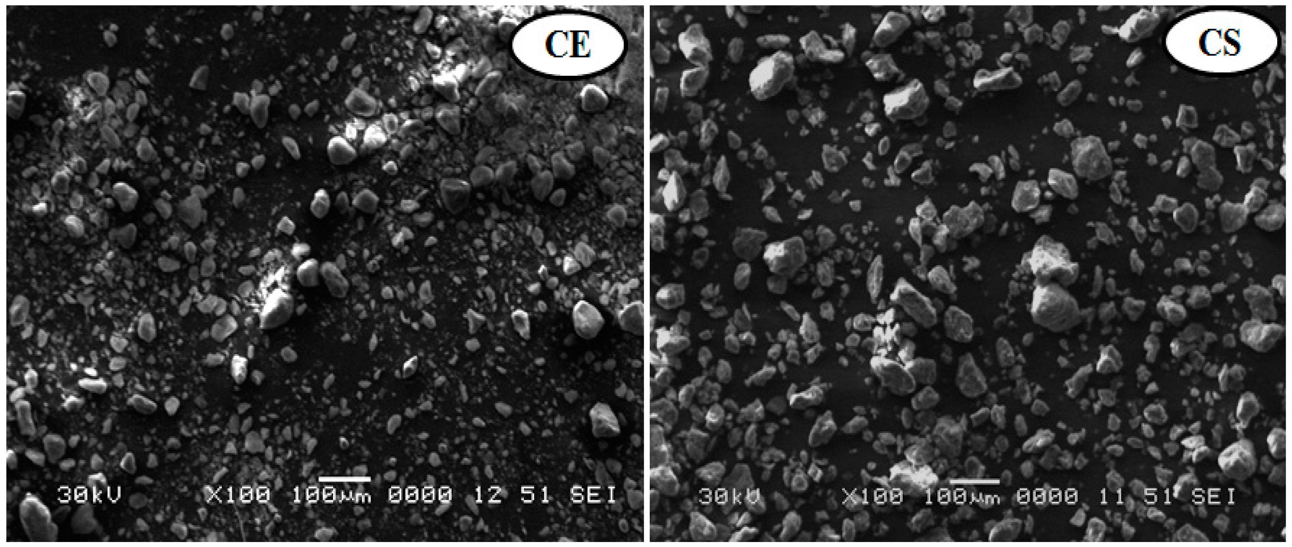 Viruses 14 02151 g001